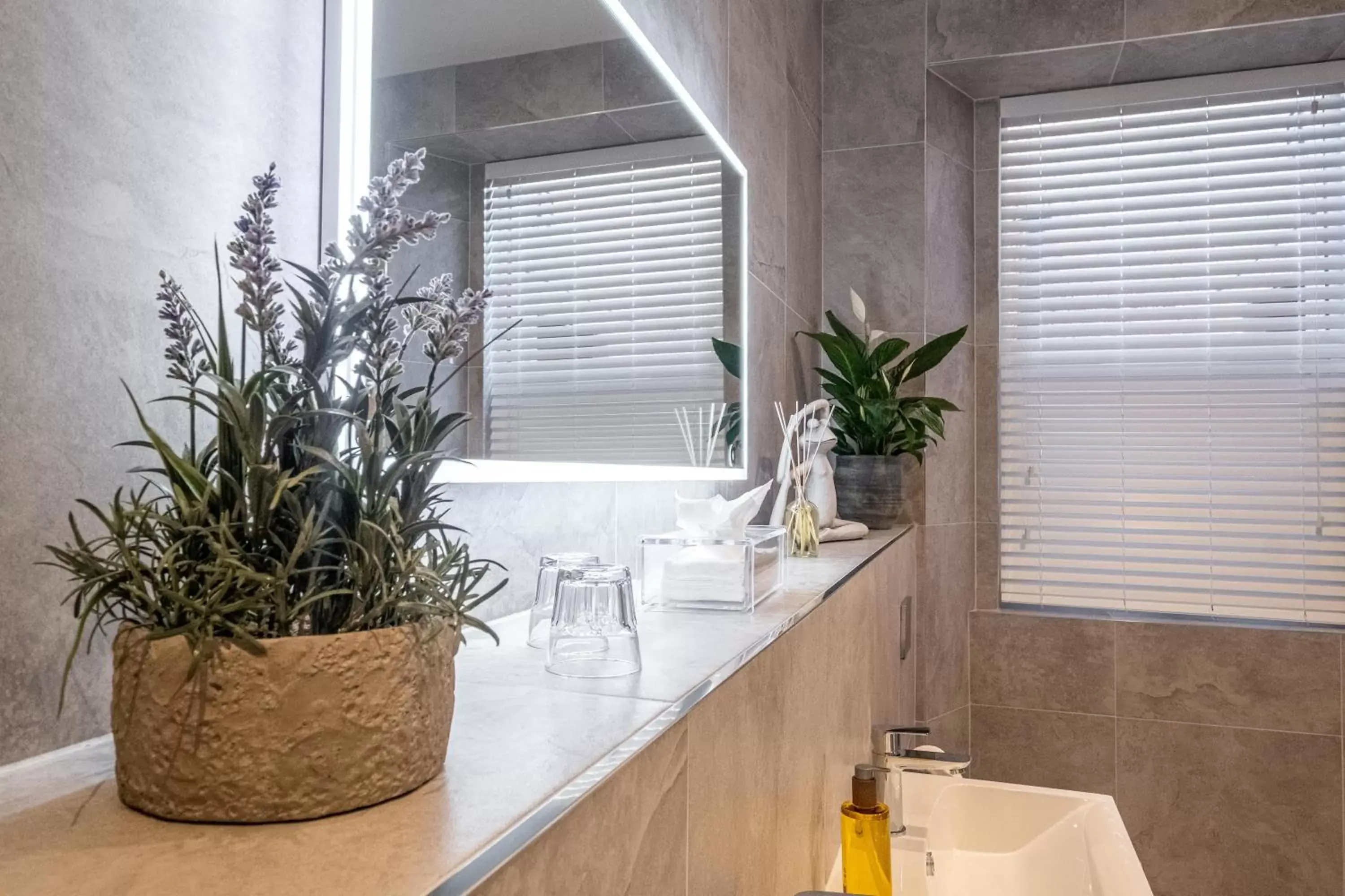 Executive Suite in The Arran, St Andrews Executive Suite in The Arran, St Andrews