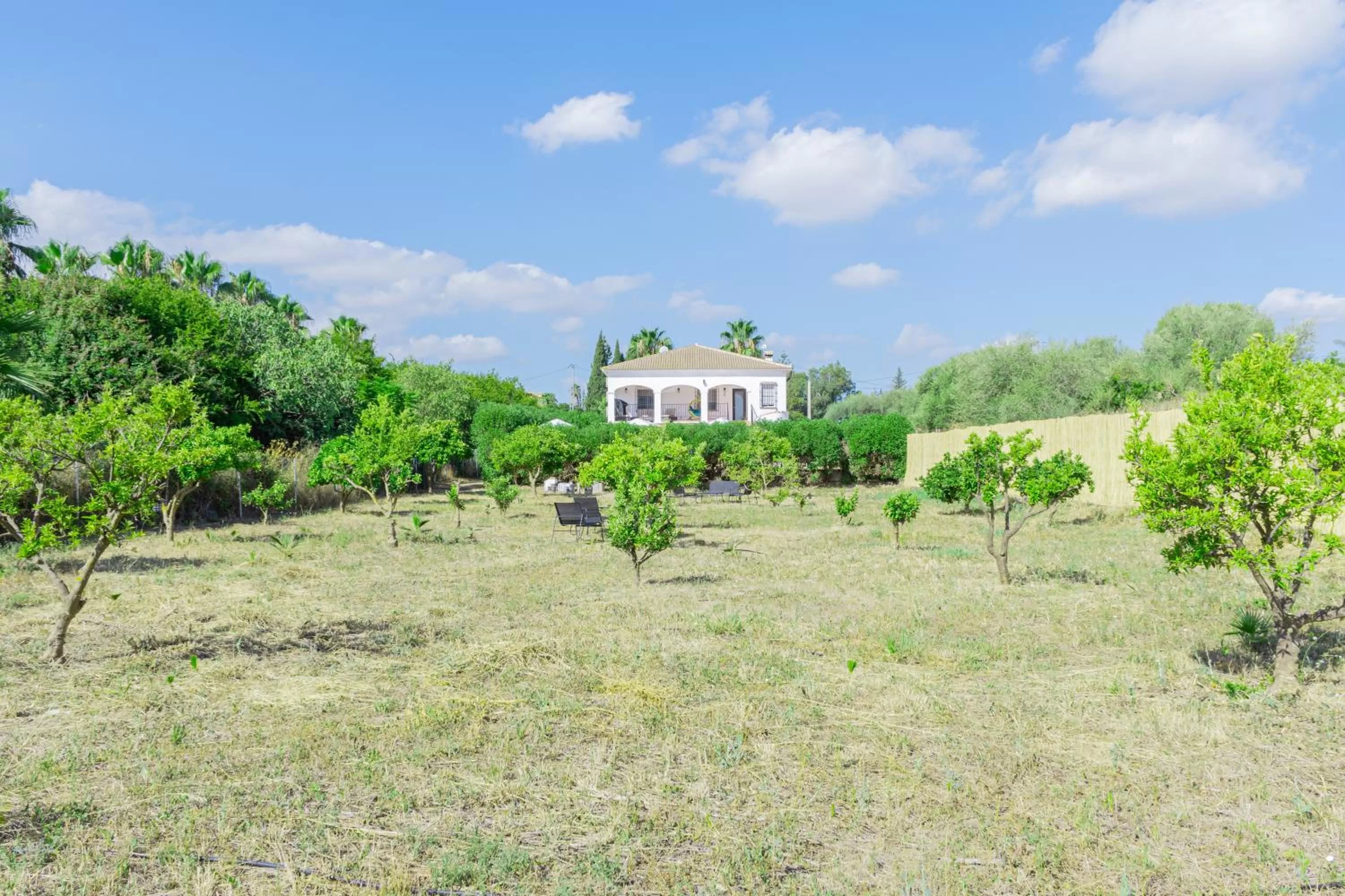 Garden, Property Building in B&B Casa de Ámbar