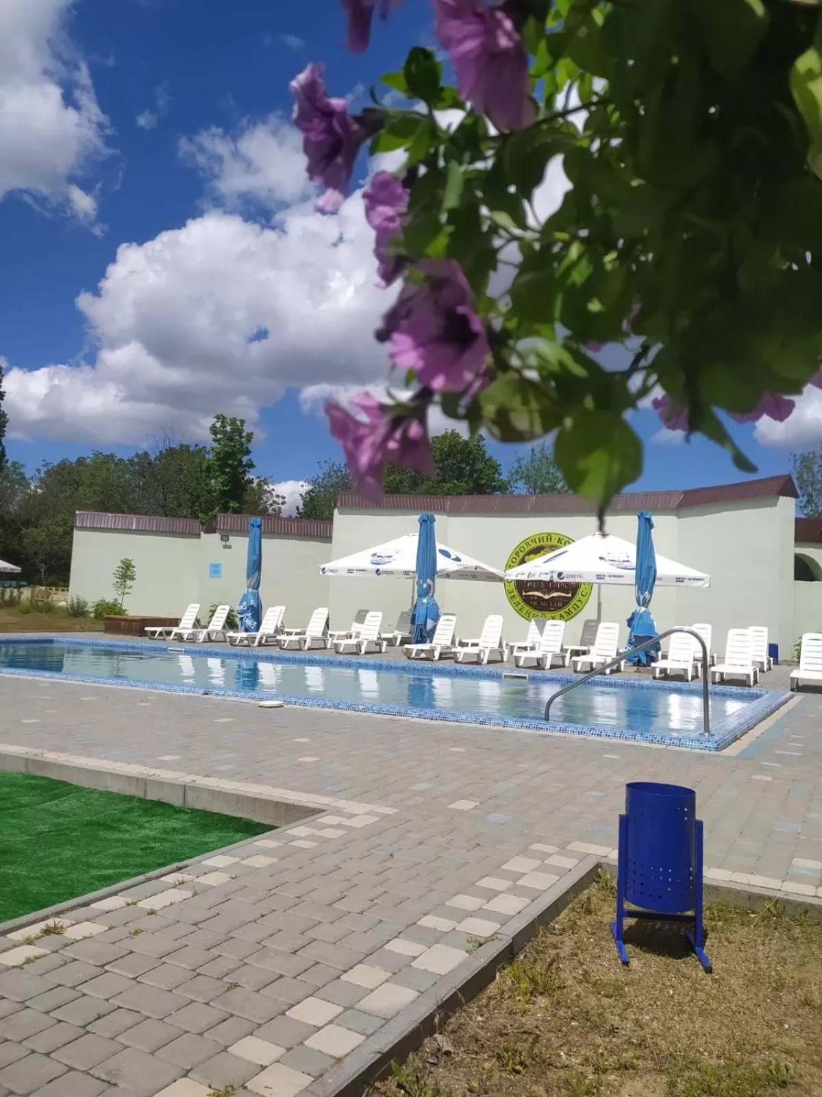 Pool view in Zelenyi Kampus