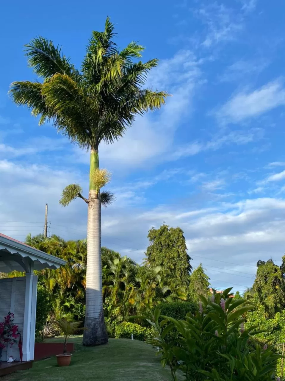 Villa Cajou chambres d'hôtes chez l'habitant et Zanzibar cottage