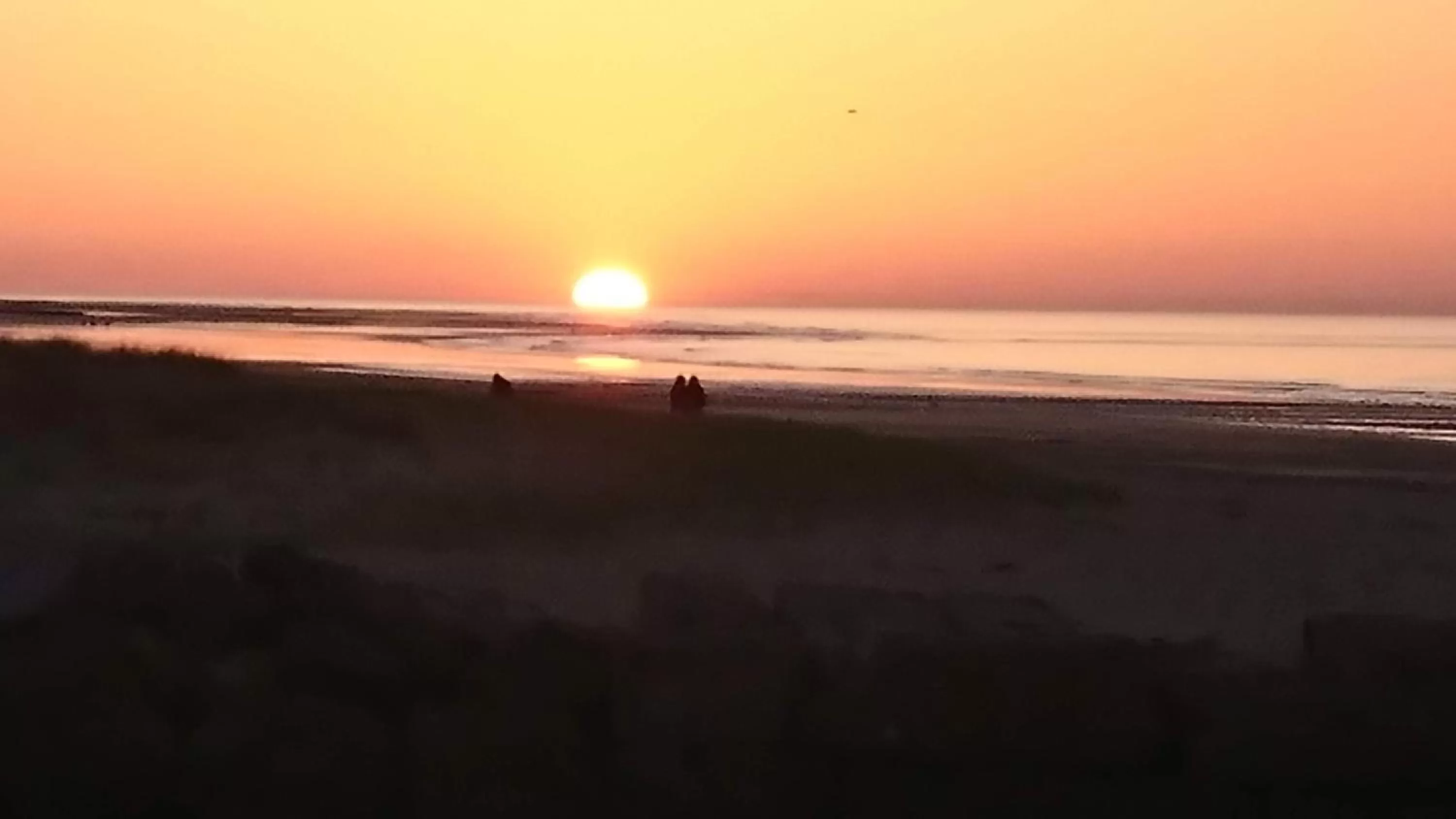 Sunset in JOYEUX REVEIL