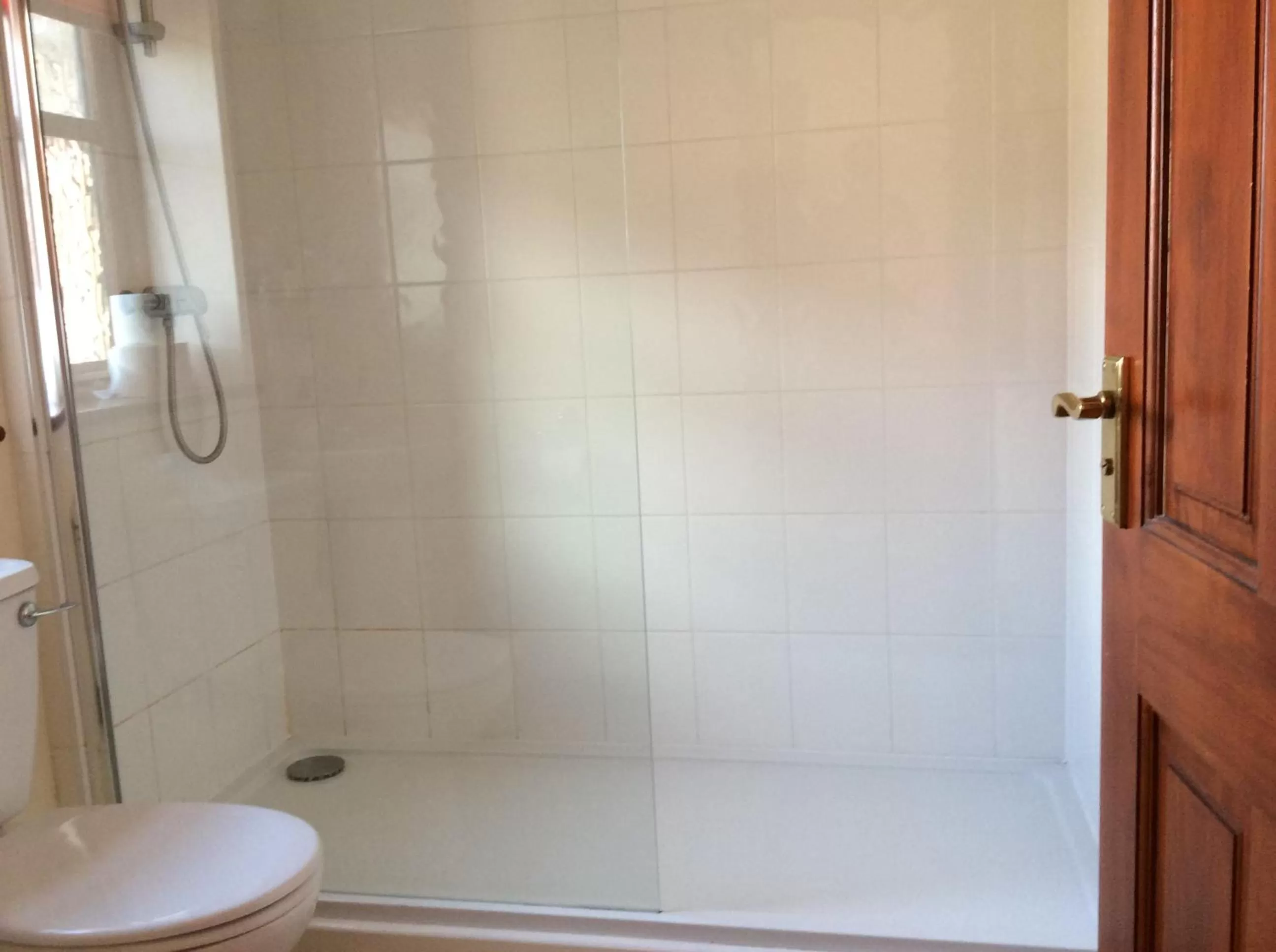 Other in The Fountain Oldwood