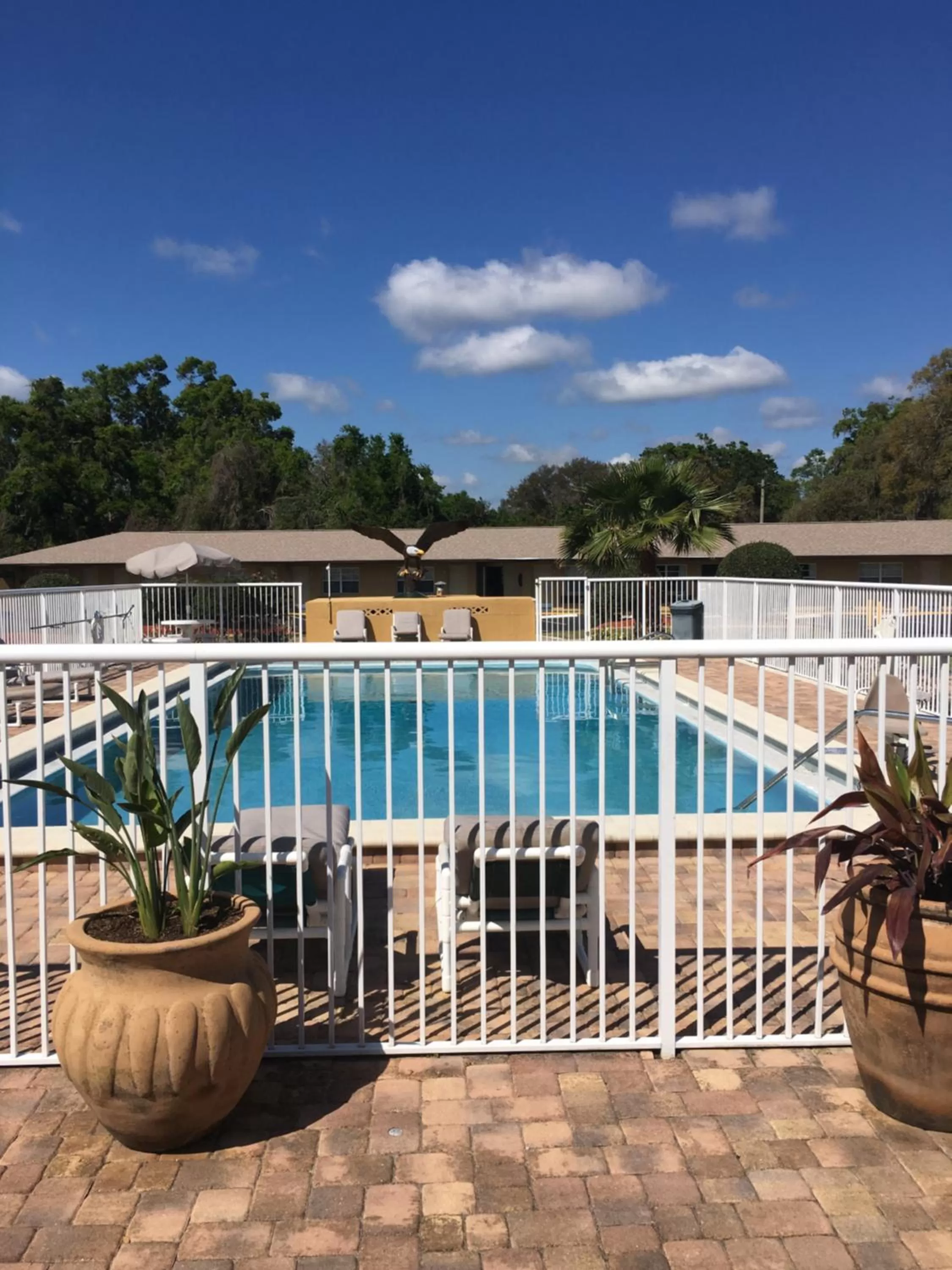 Pool view in Days Inn by Wyndham Orange City/Deland