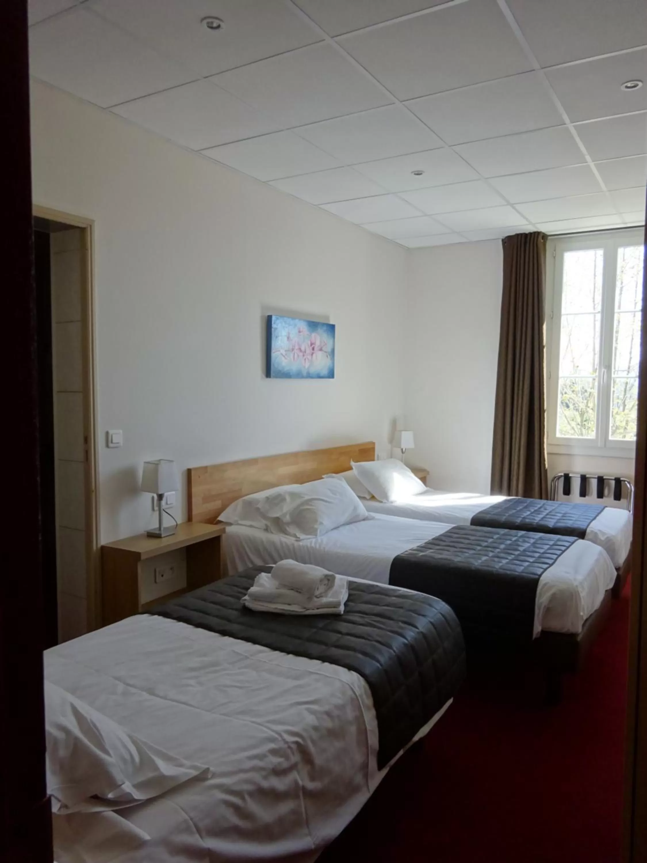 Photo of the whole room, Bed in Hotel Restaurant Le Castel Fleuri