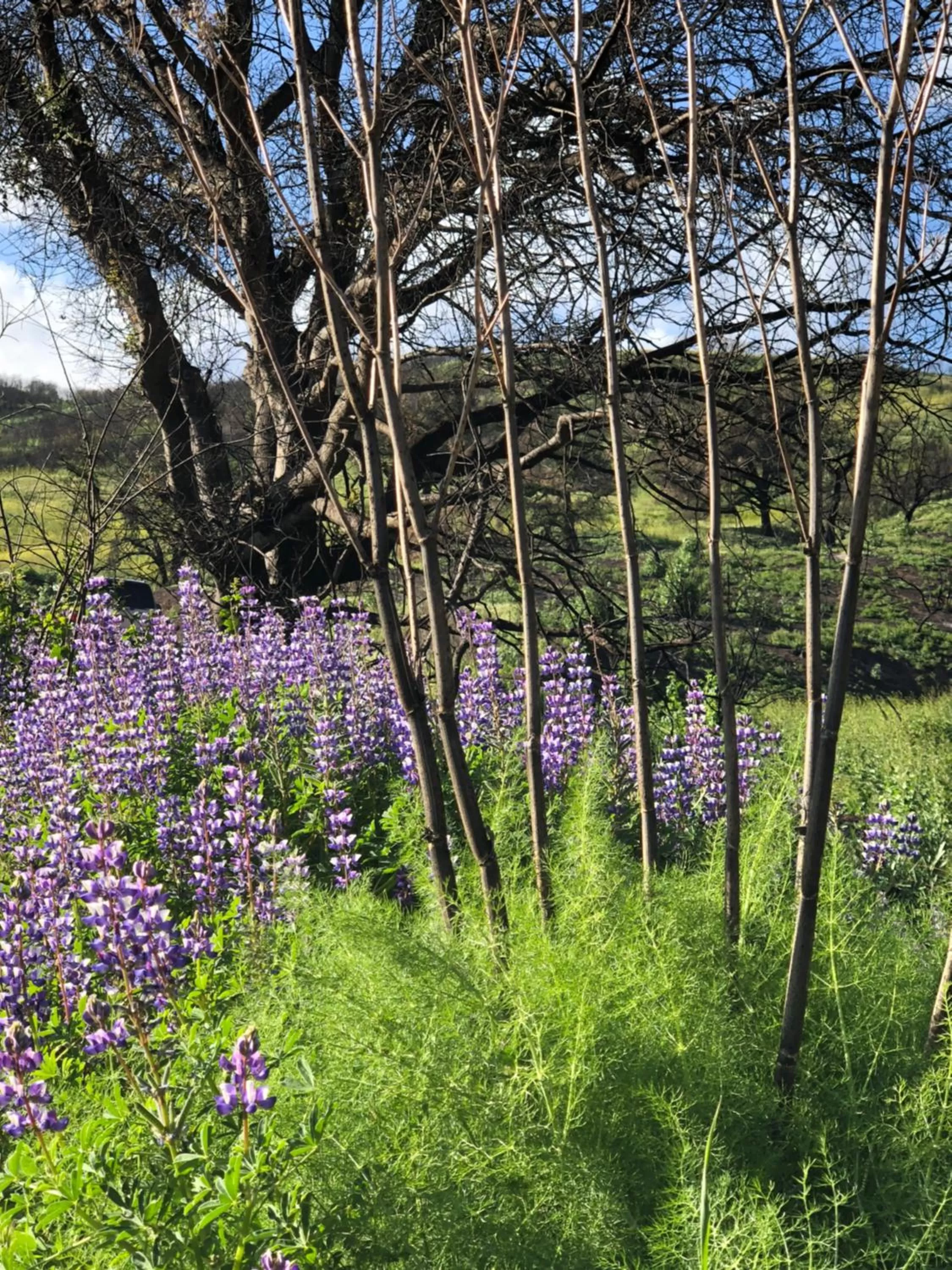 Off site in Chantico Inn