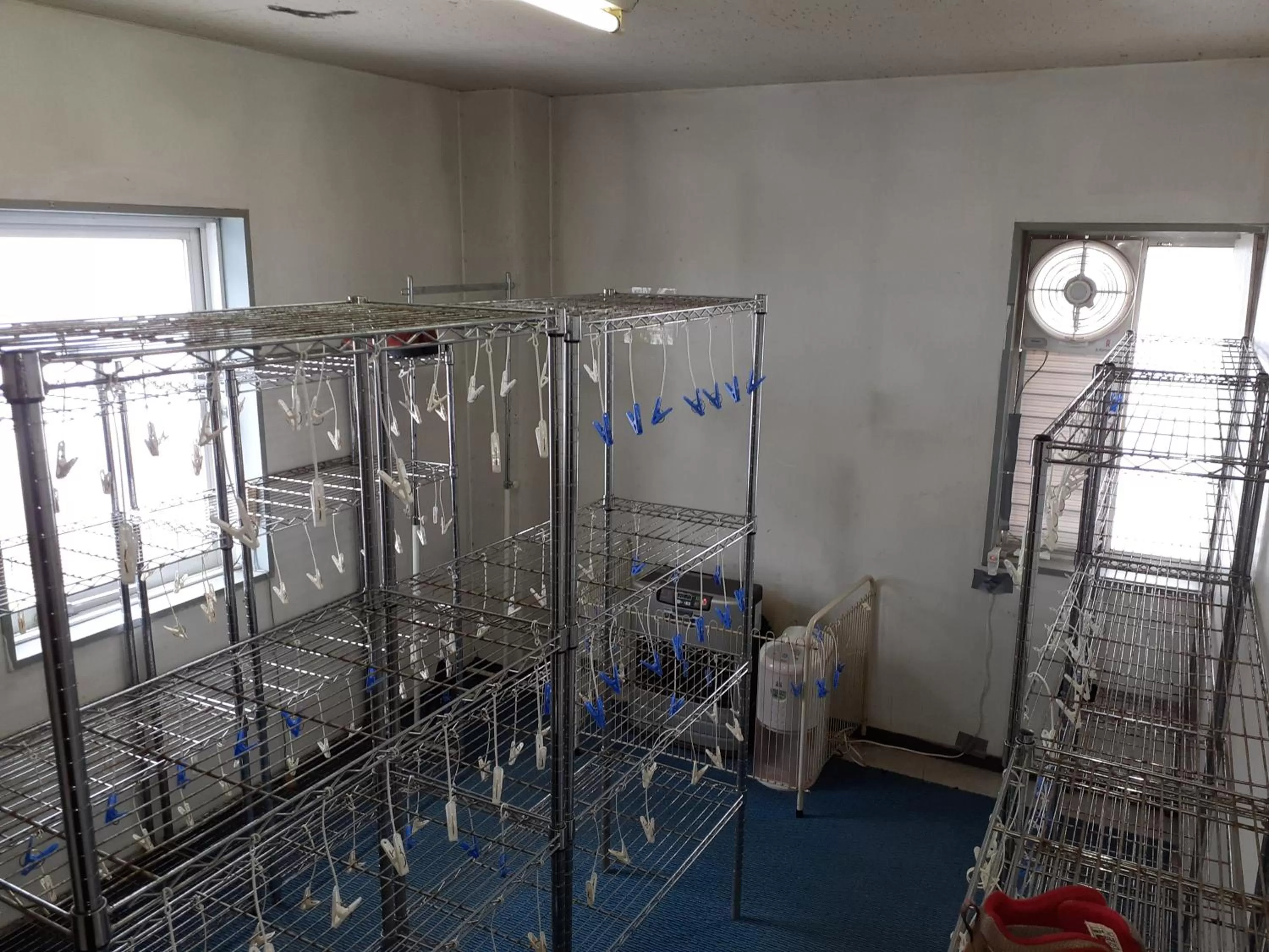 Skiing in Hakuba Hotel Paipu no Kemuri