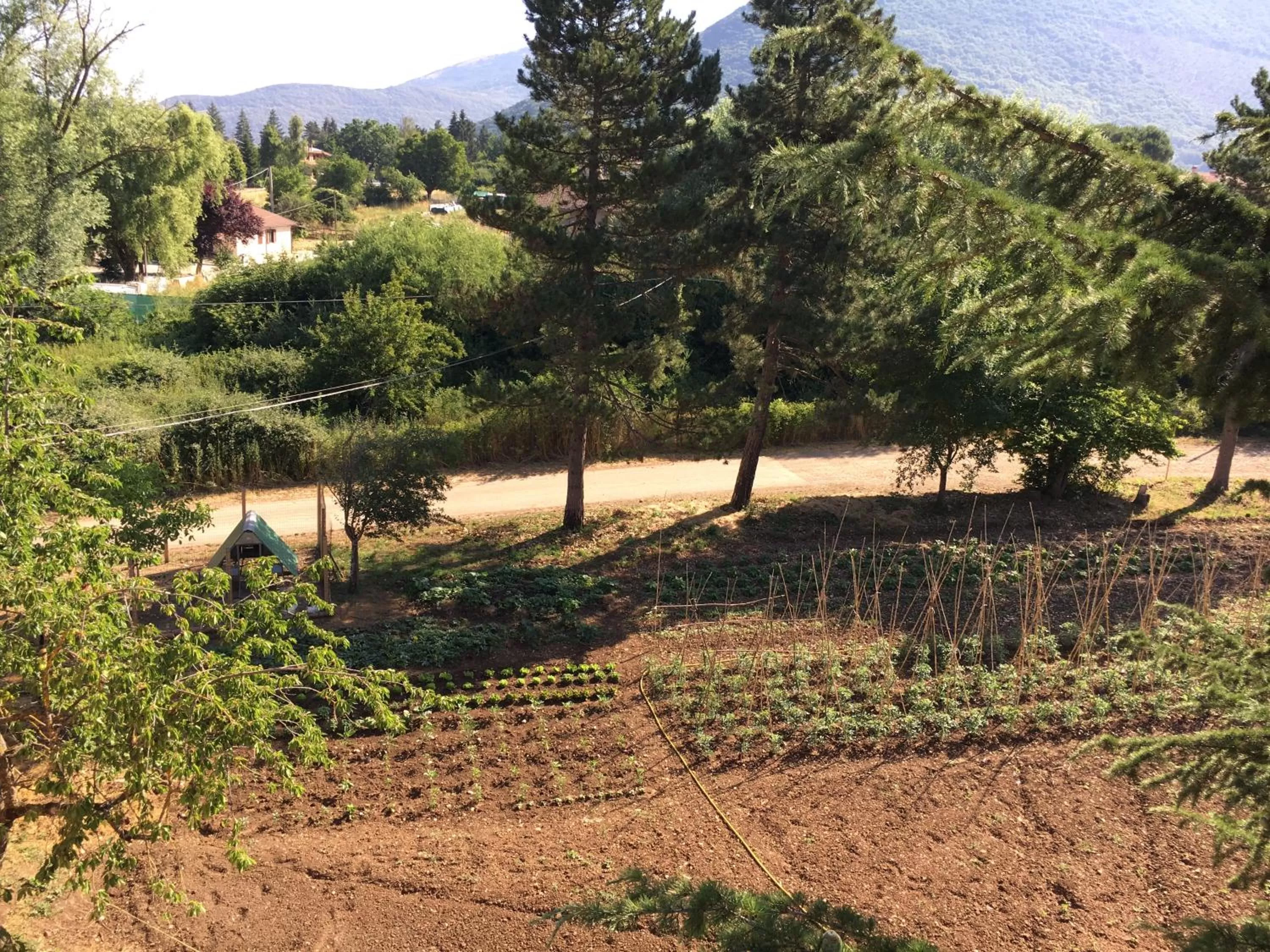 Garden in B&B Calecatine