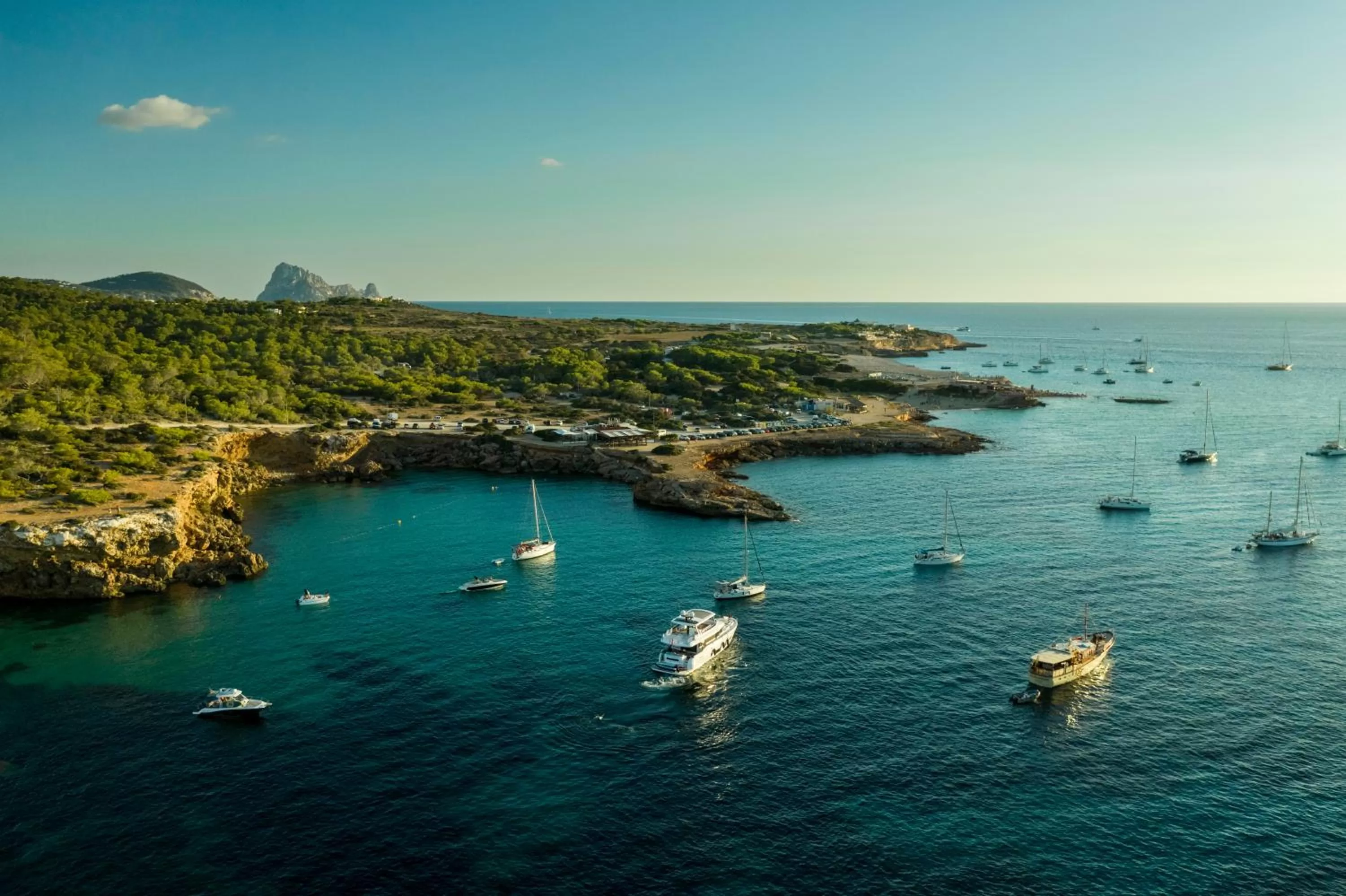 Neighbourhood in Camelina Suites