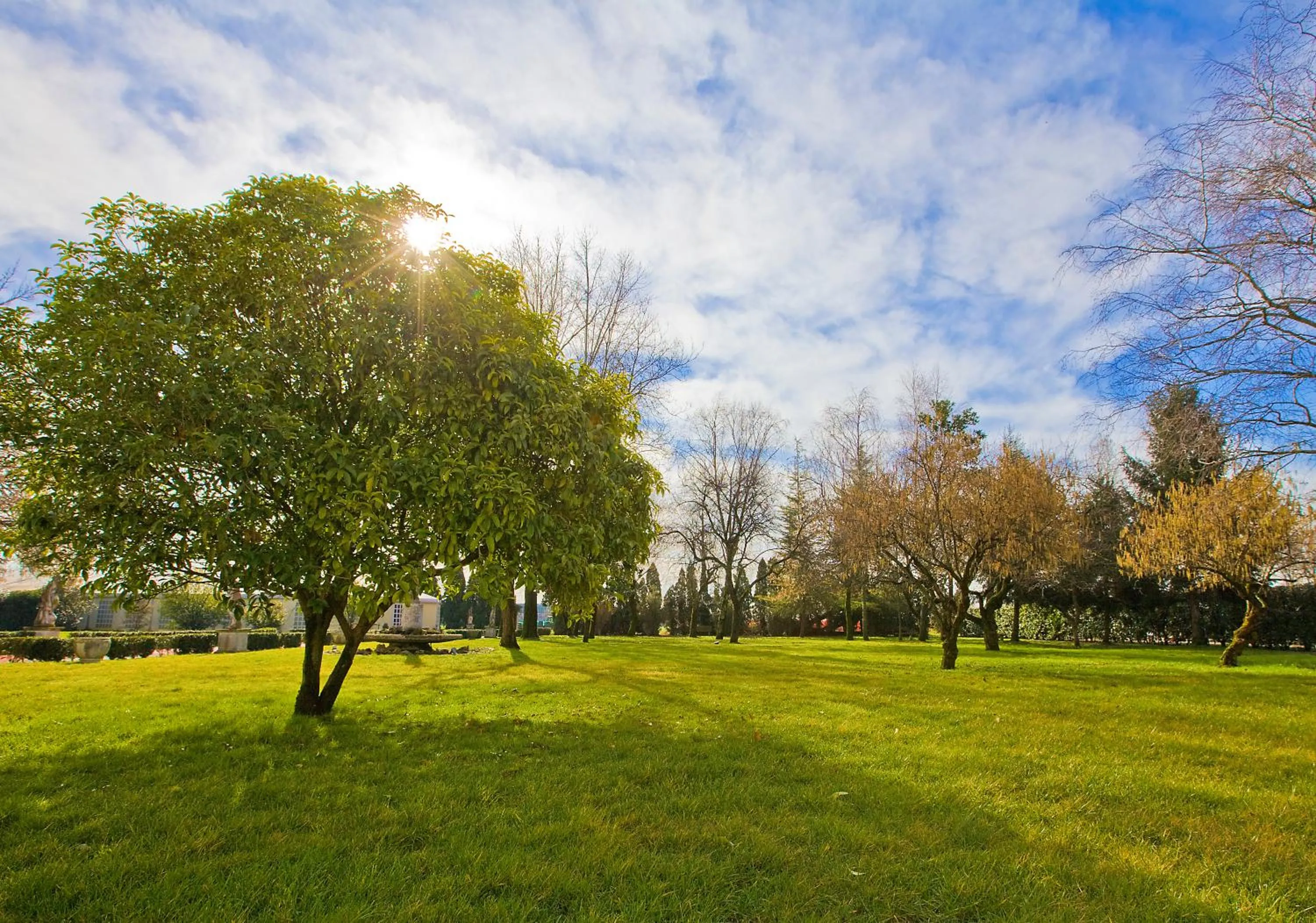 Garden in Hotel Villa Braida