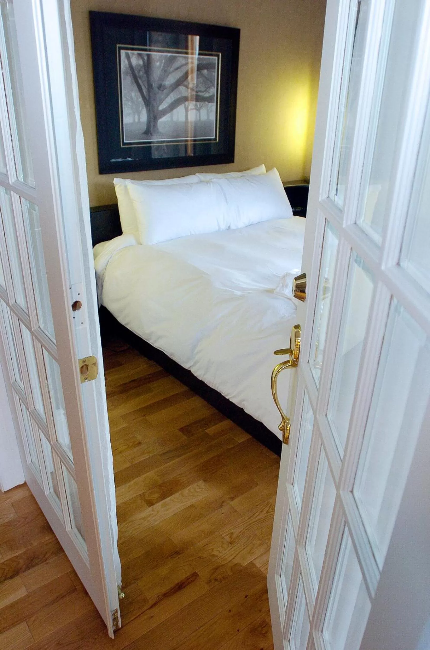 Superior Suite / Full Kitchen / Animals Not Permitted in Hotel Port-Royal