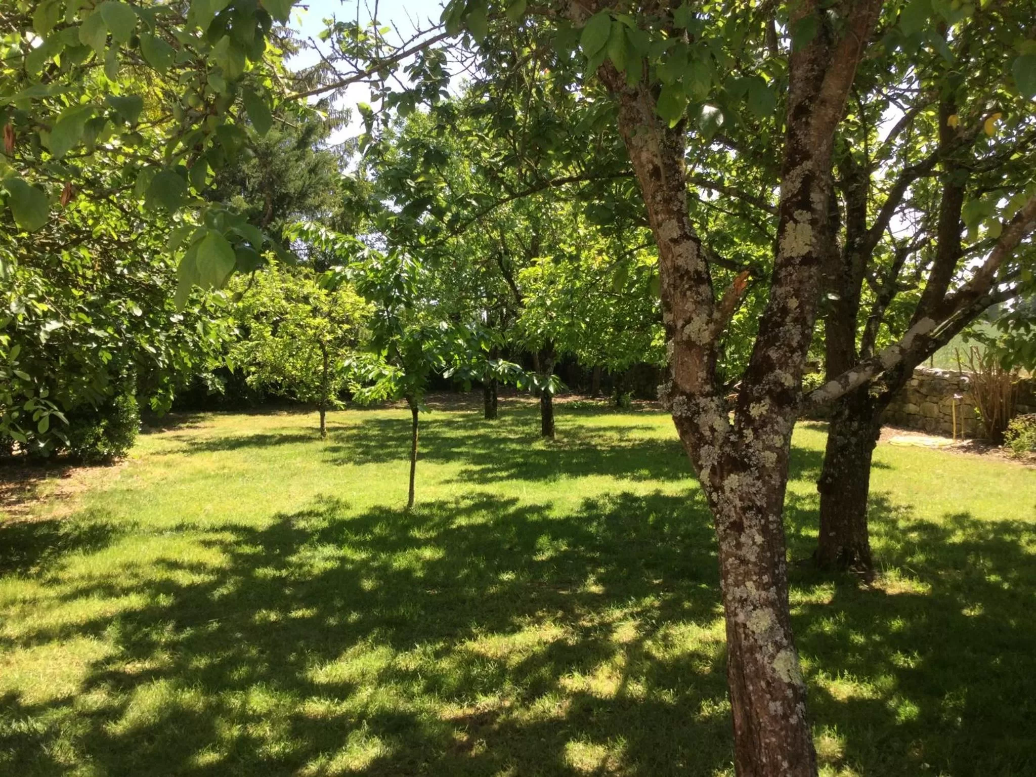 Garden in Les noyers aulnay