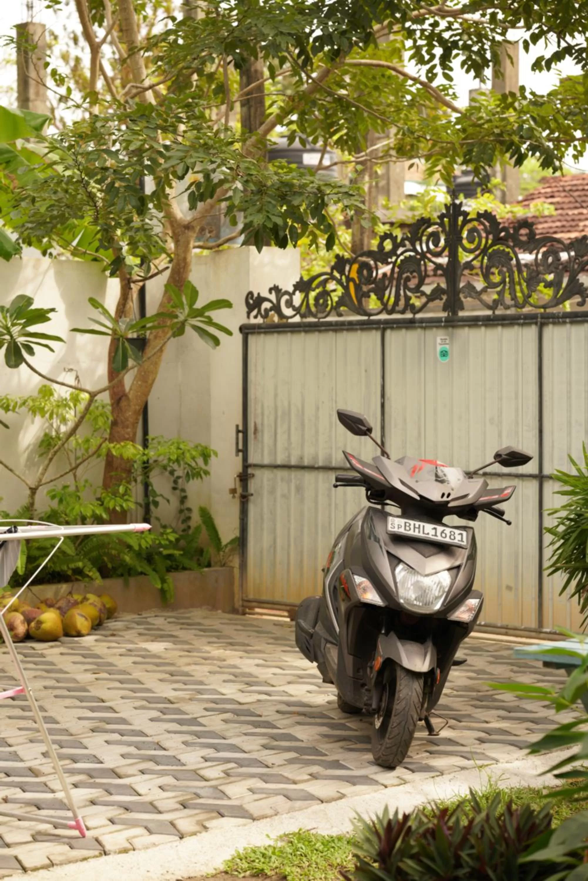 Garden in Temple Tree