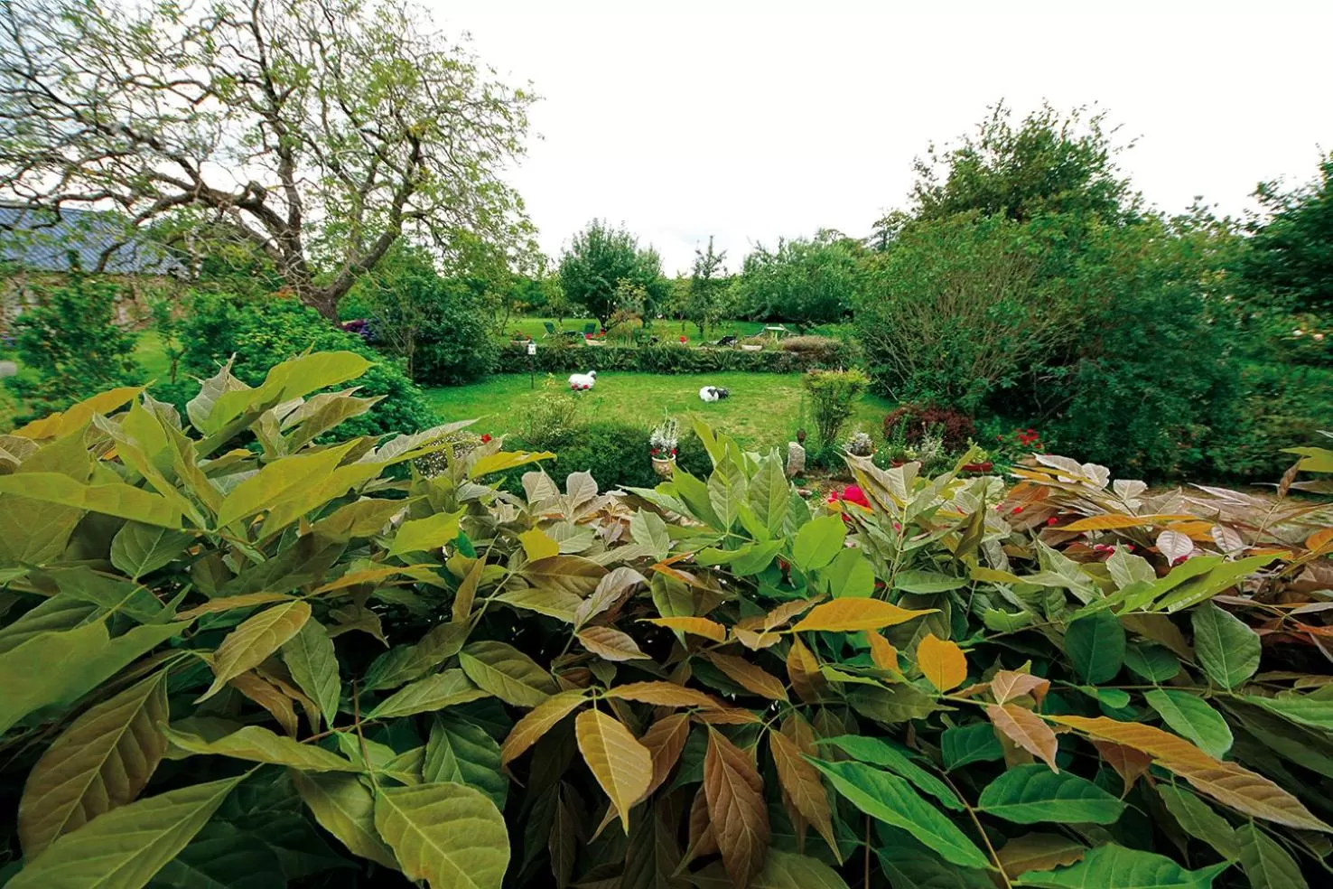 Garden in Maison de Kersalomon