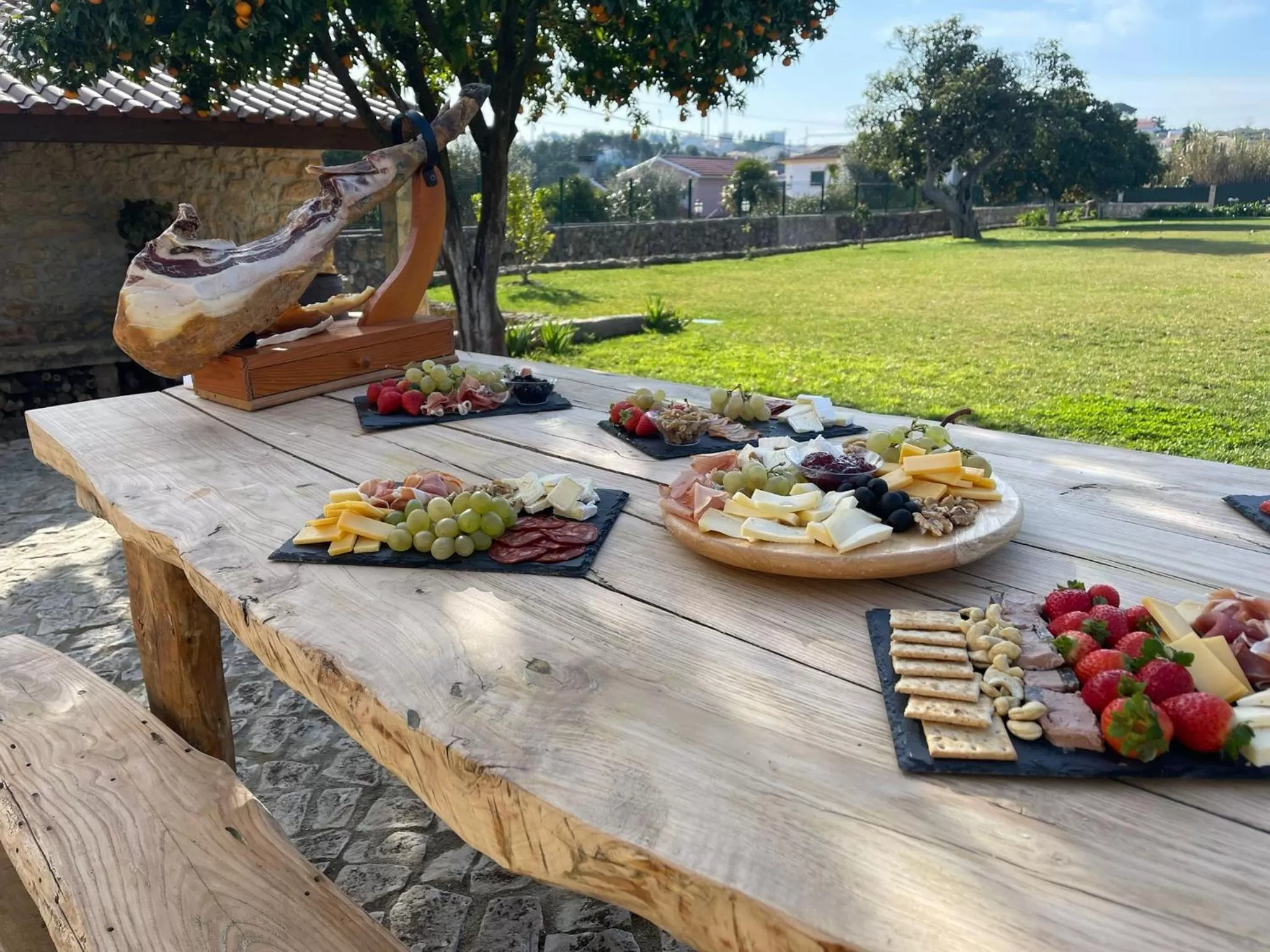 Garden in Granja da Cabrita
