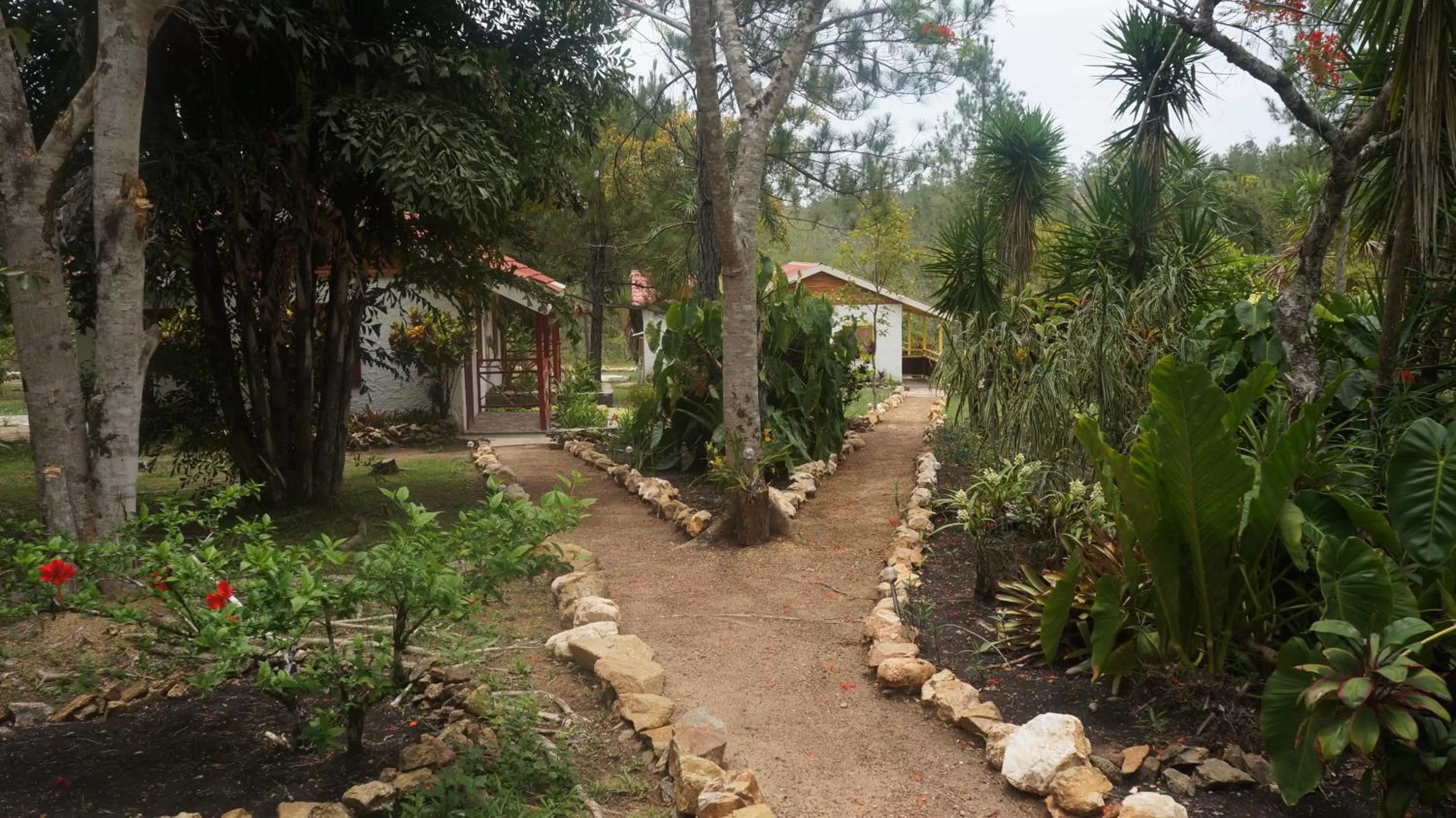 Garden view, Garden in Pine Ridge Lodge