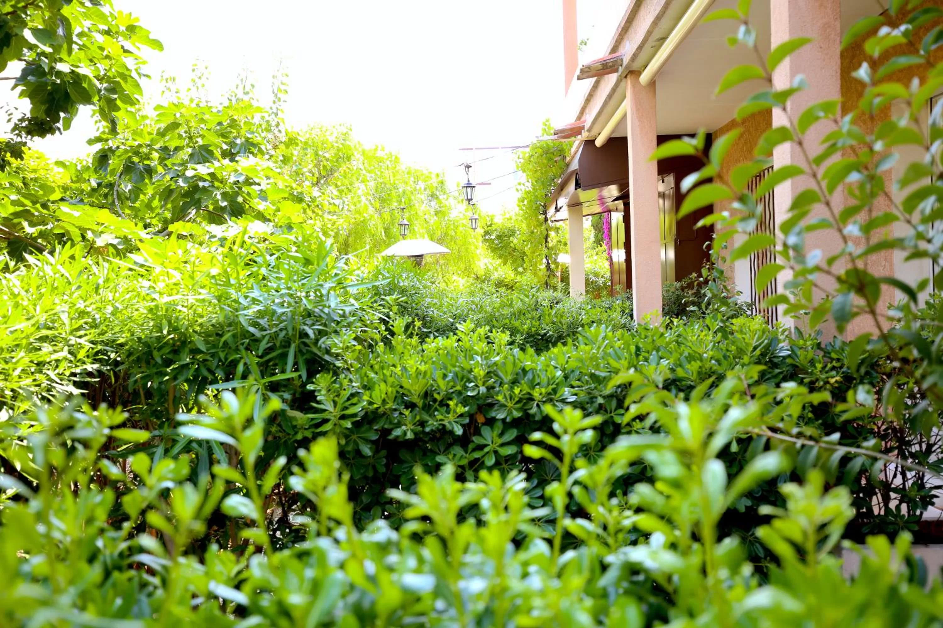 Hotel Royal Bon Repos