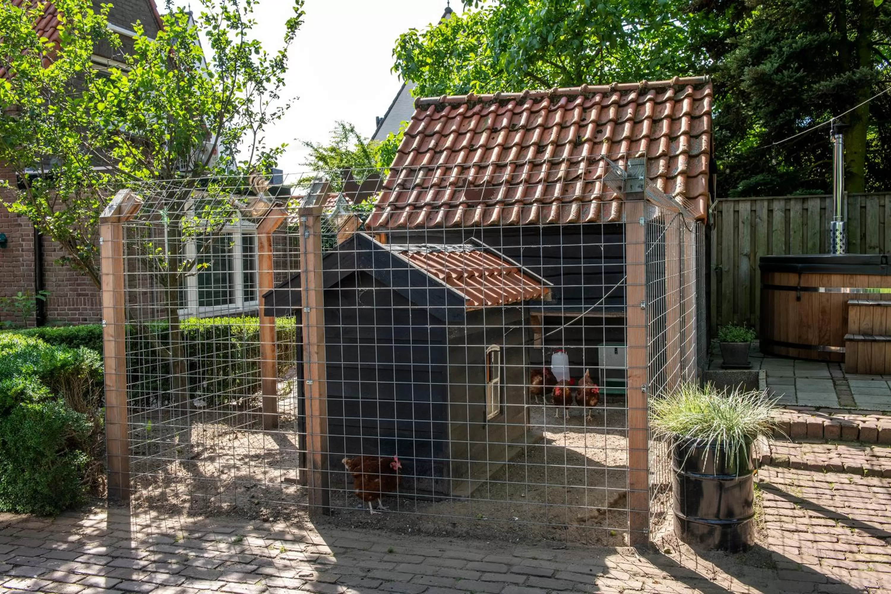 Animals in Hush Bed & Breakfast