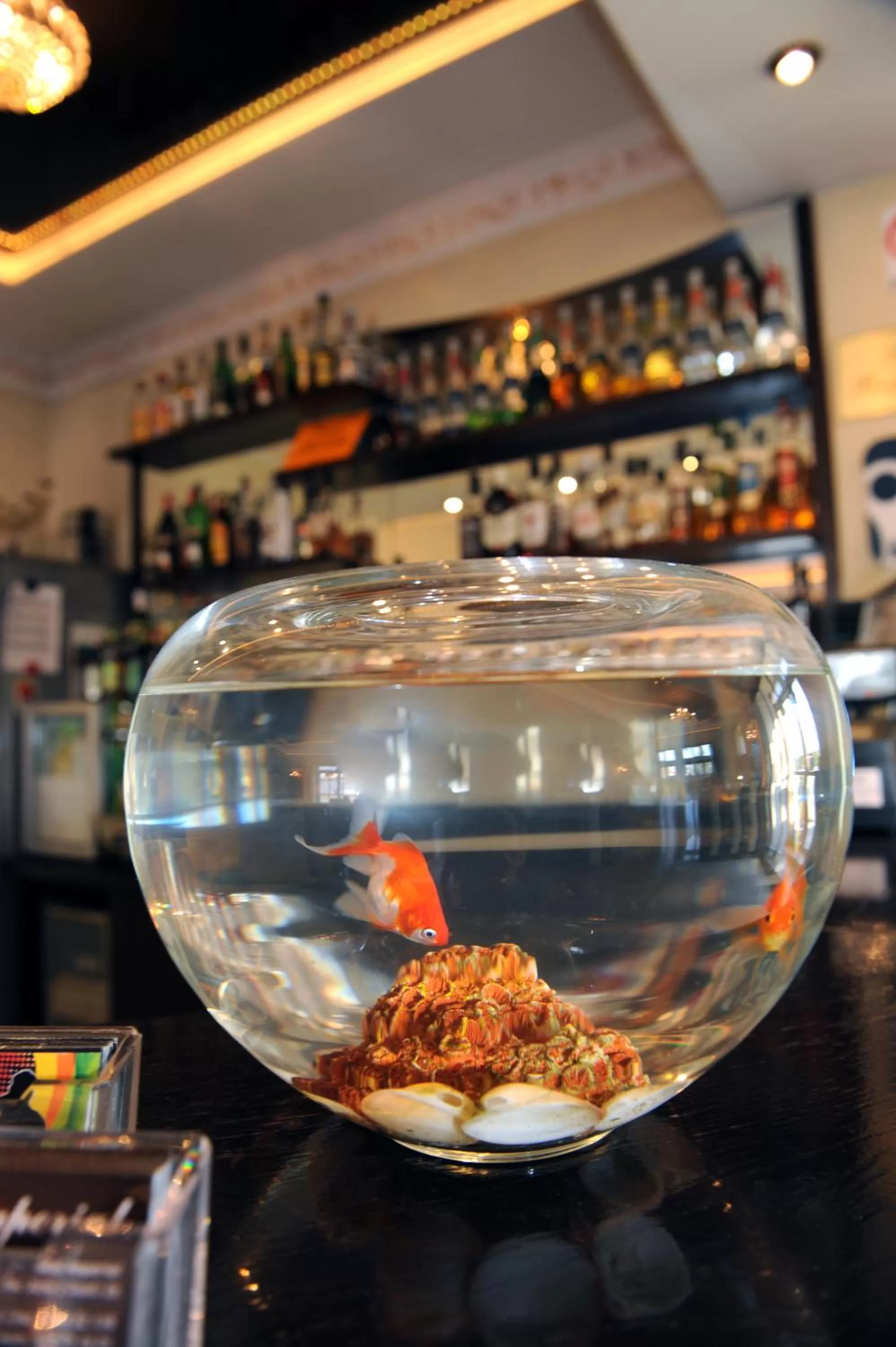 Decorative detail in Restauracja Hotel Imperial