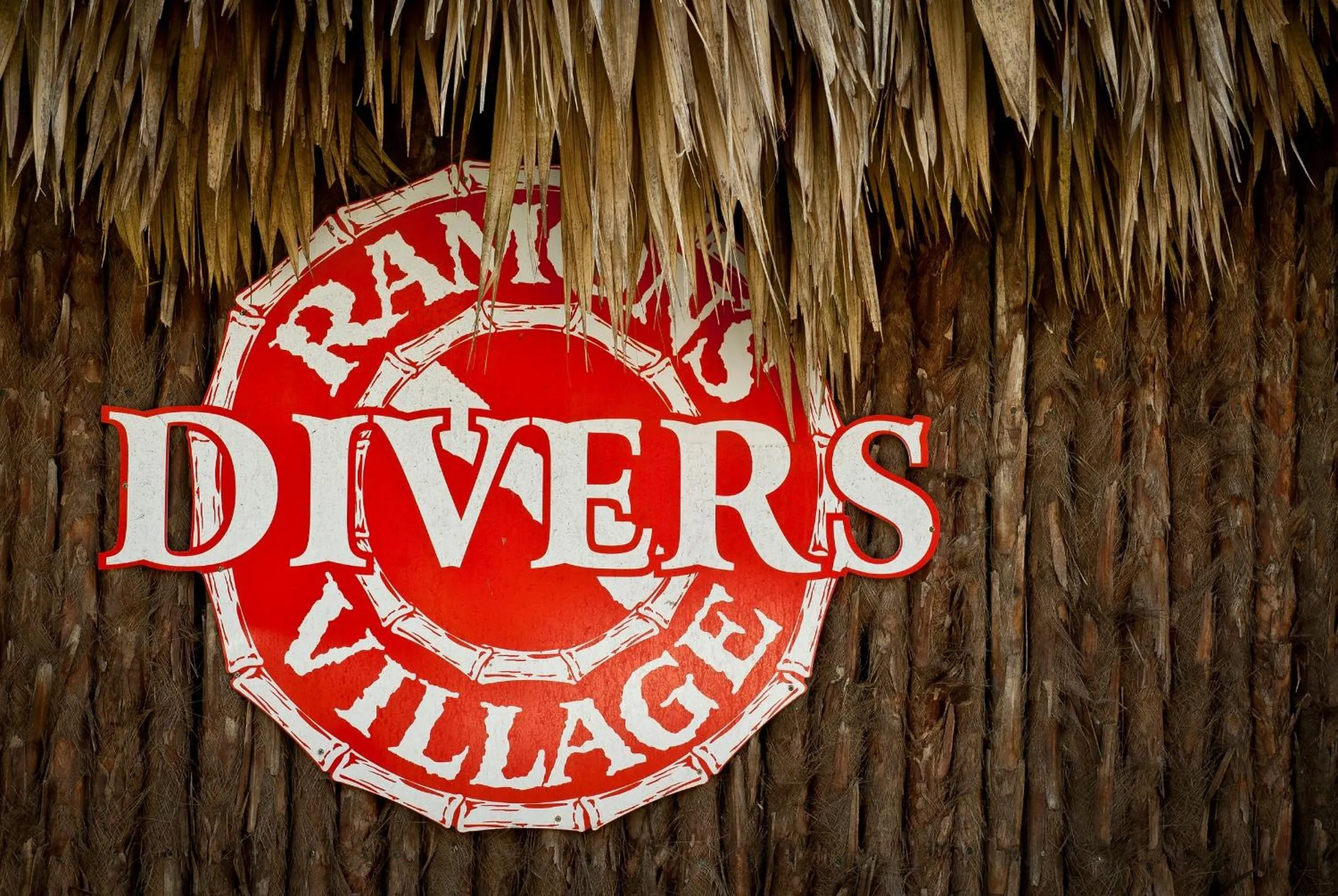 Fishing in Ramon's Village Resort