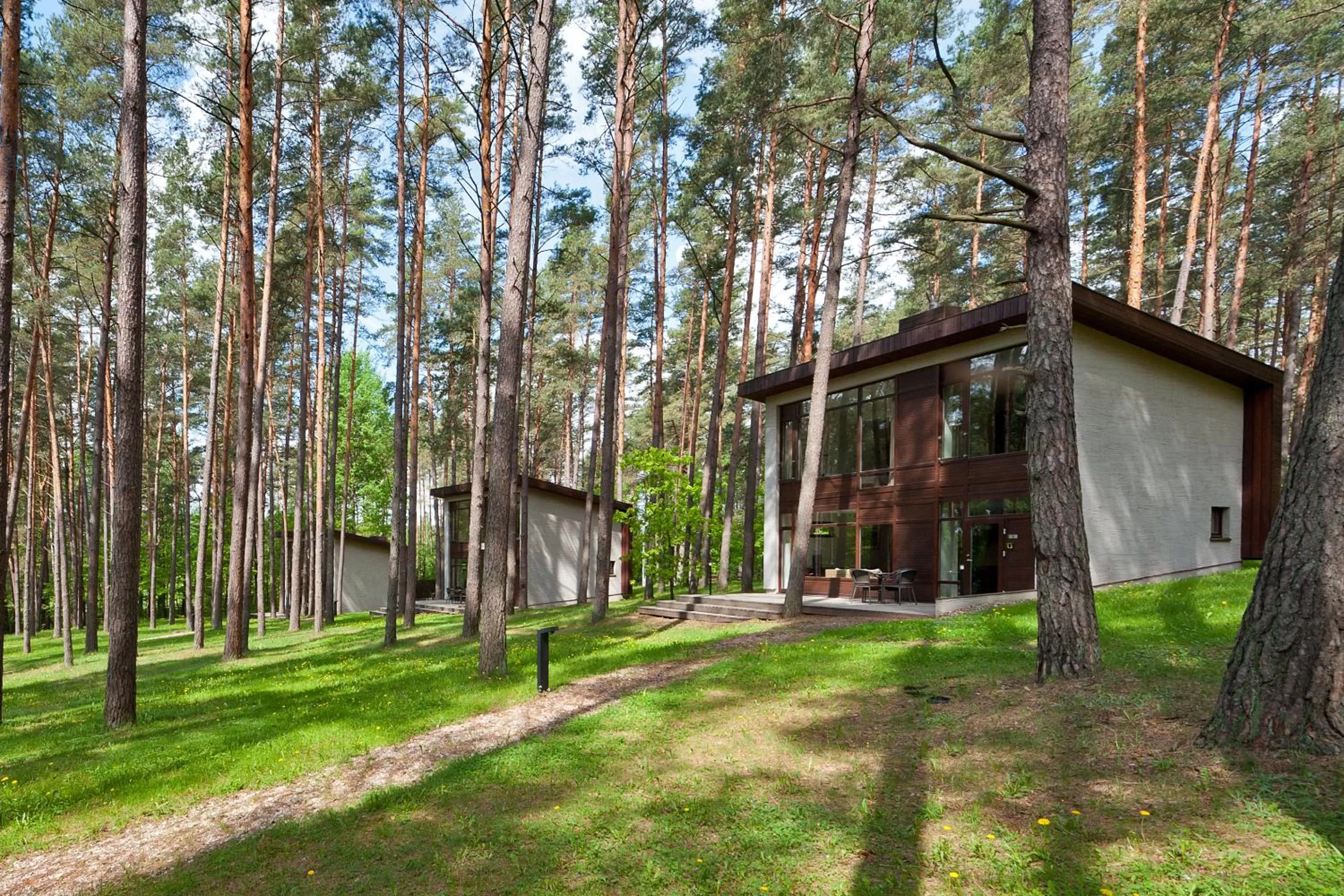 Garden in Belvilis Hotel
