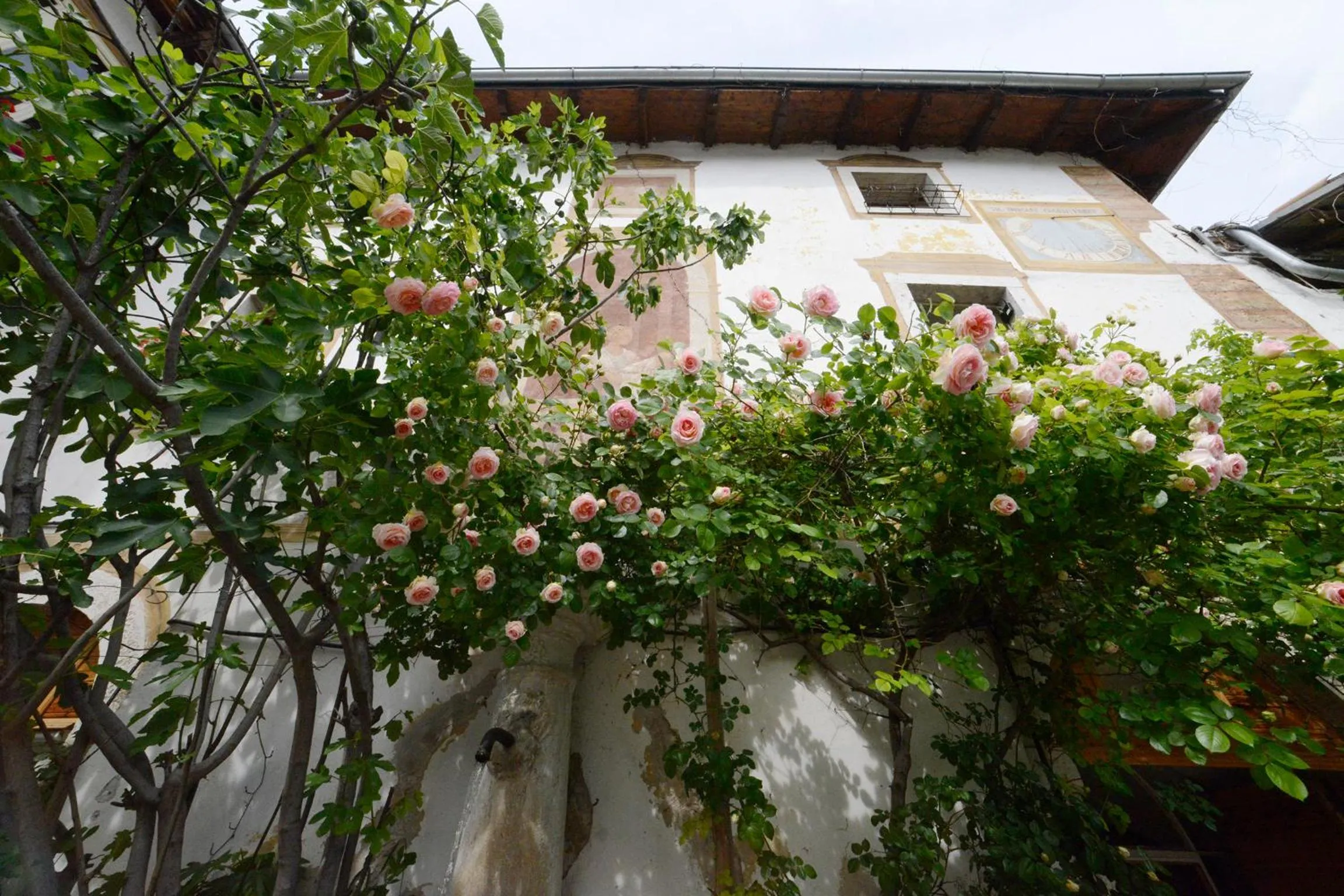 Other in Villa Bertagnolli - Locanda Del Bel Sorriso