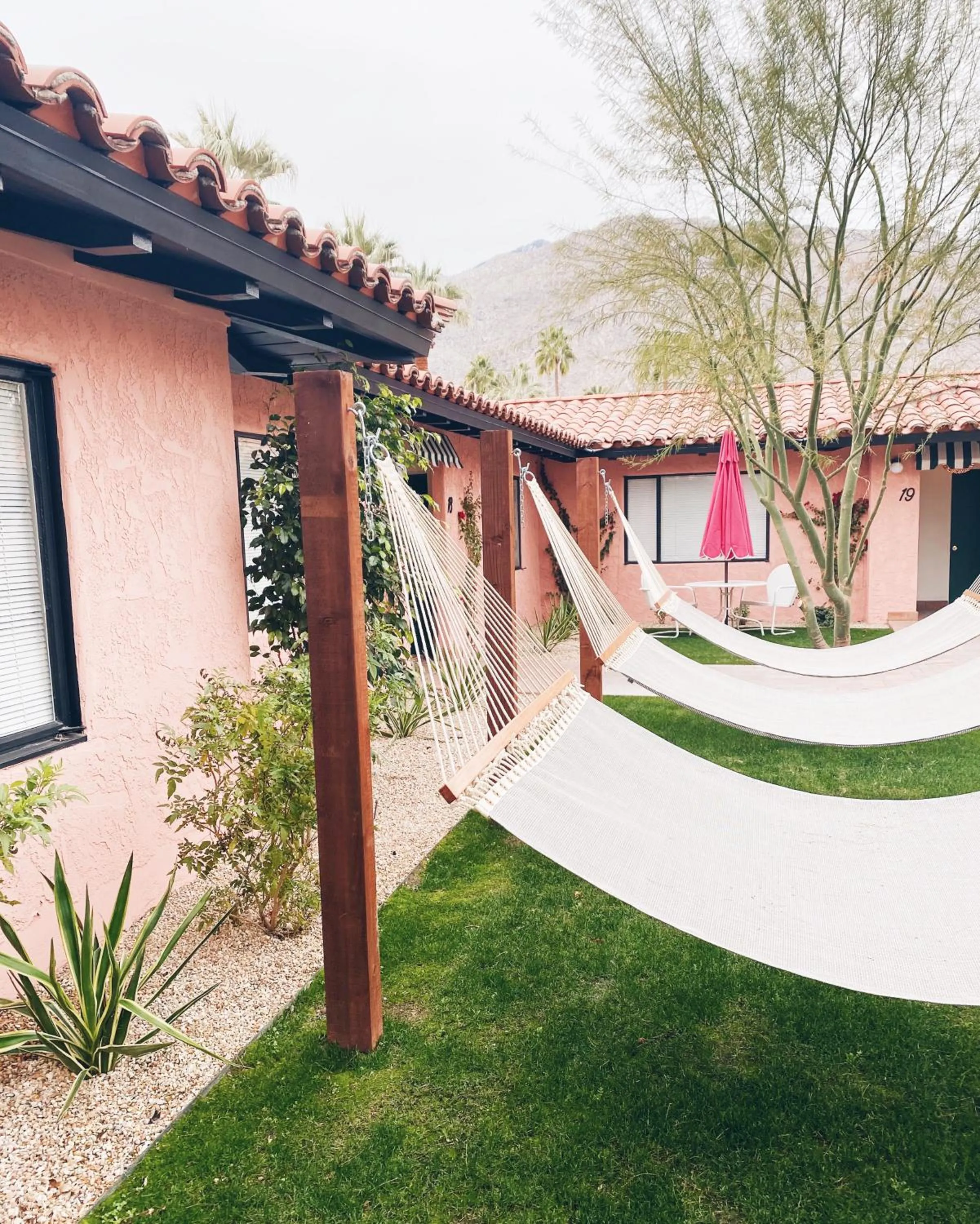 Garden in Les Cactus