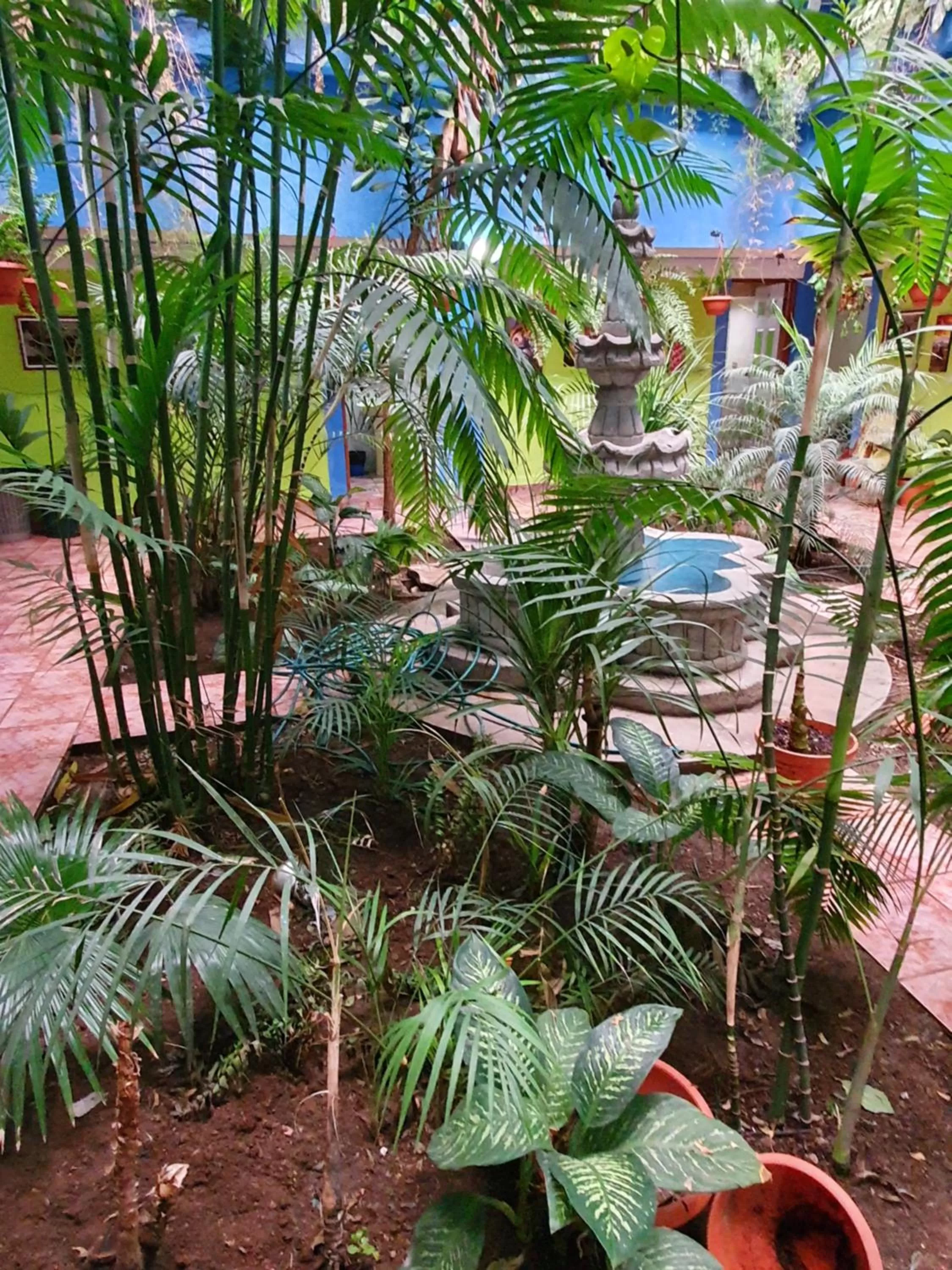 hotel kasa kamelot 2