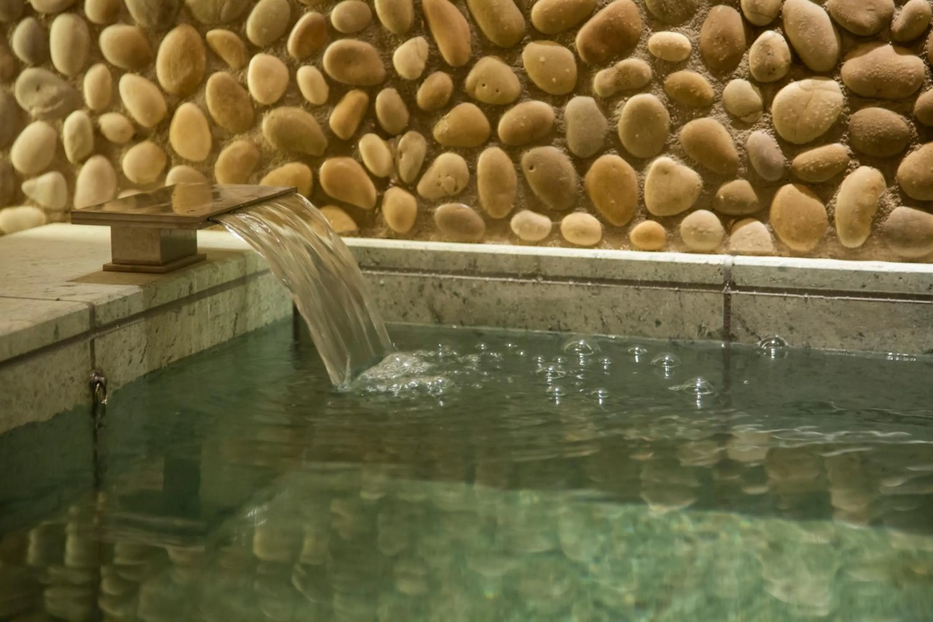 Area and facilities in The Hotel Seiryu Kyoto Kiyomizu - a member of the Leading Hotels of the World-