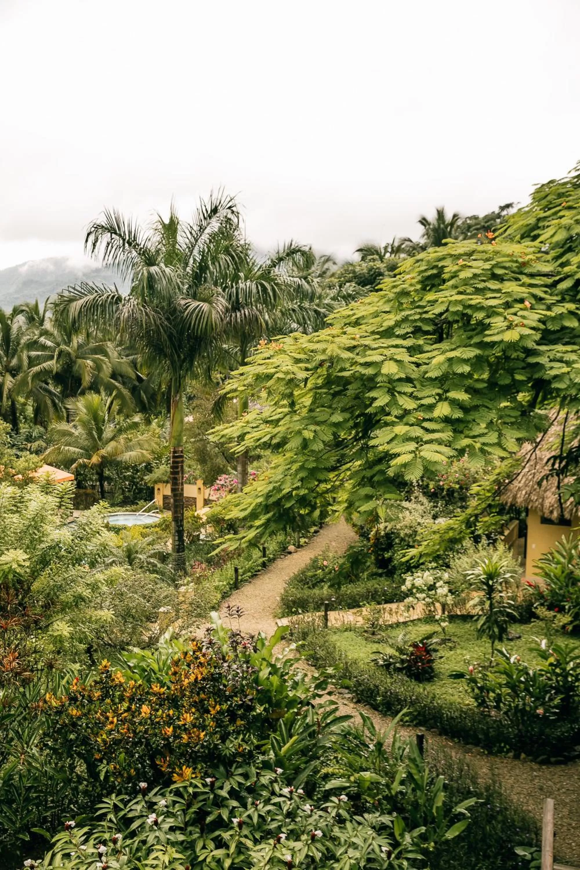 Property building in Sleeping Giant Rainforest Lodge