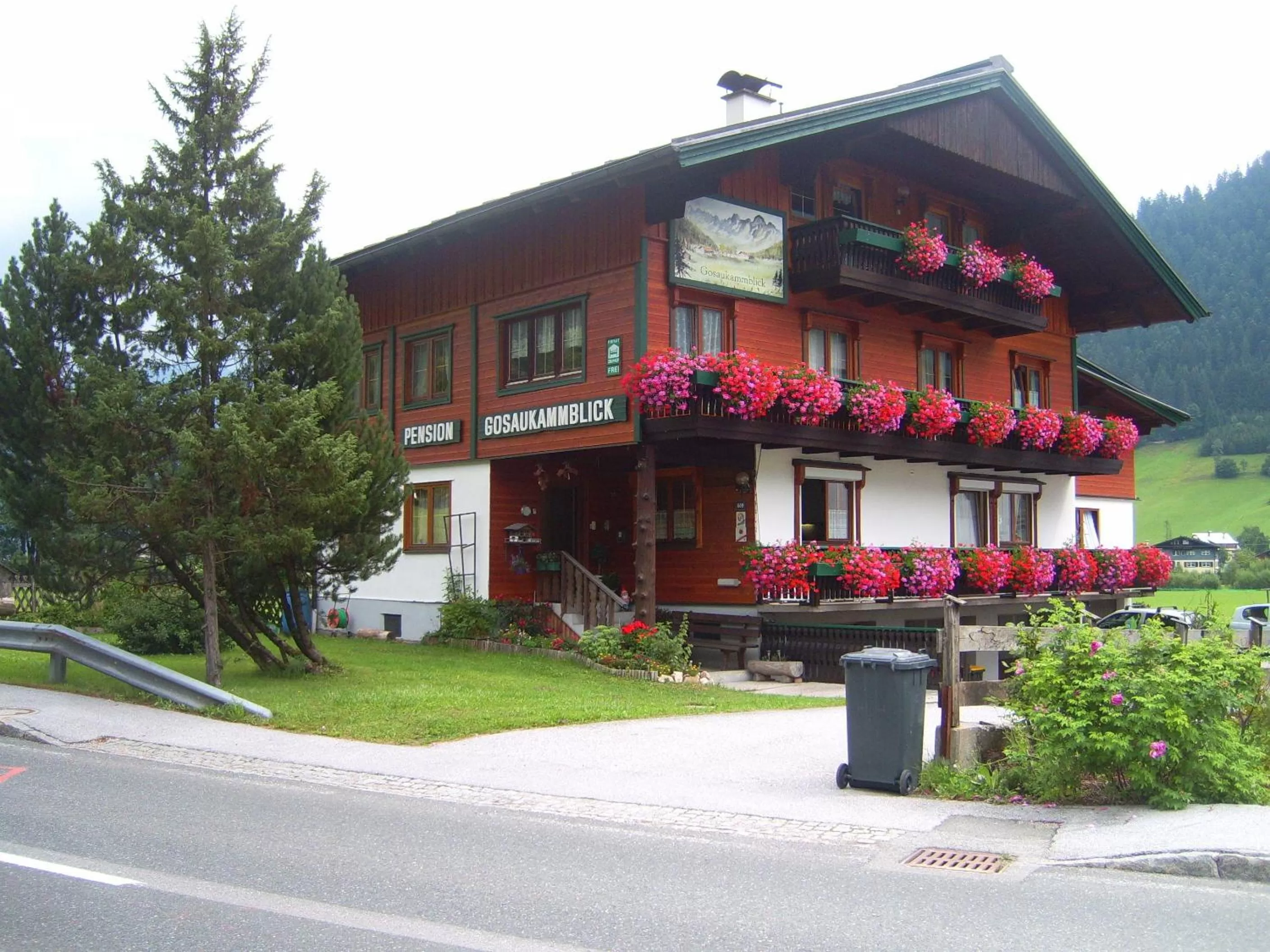 Facade/entrance in Privatpension Gosaukammblick