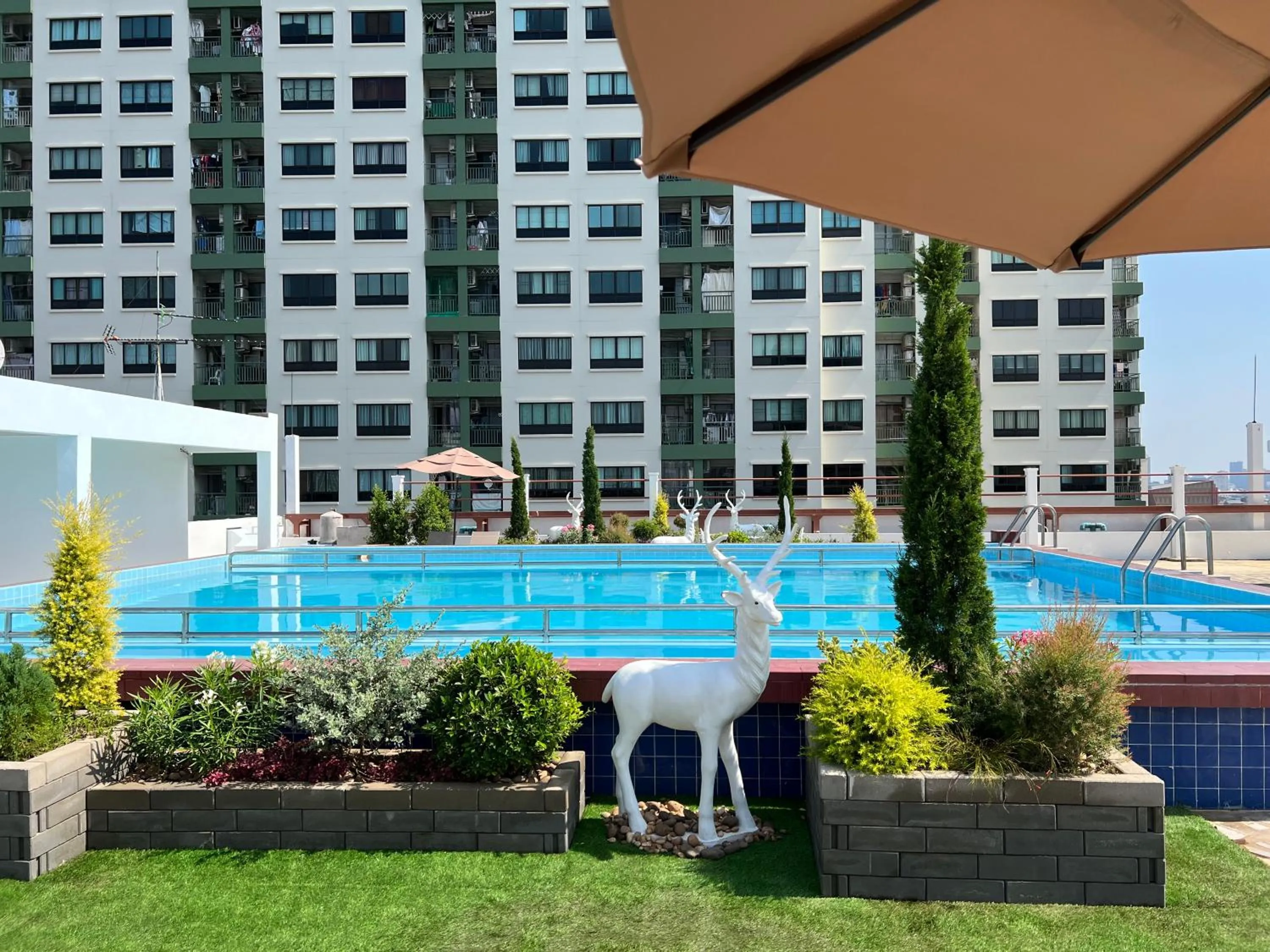 Swimming pool in Elizabeth Hotel