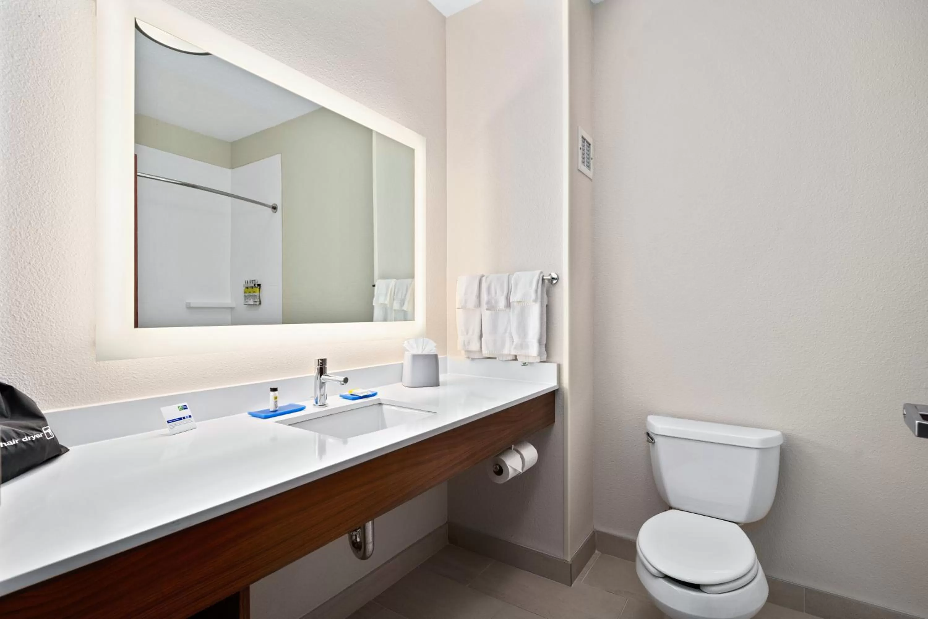 Bathroom in Holiday Inn Express & Suites Van Buren-Fort Smith Area, an IHG Hotel