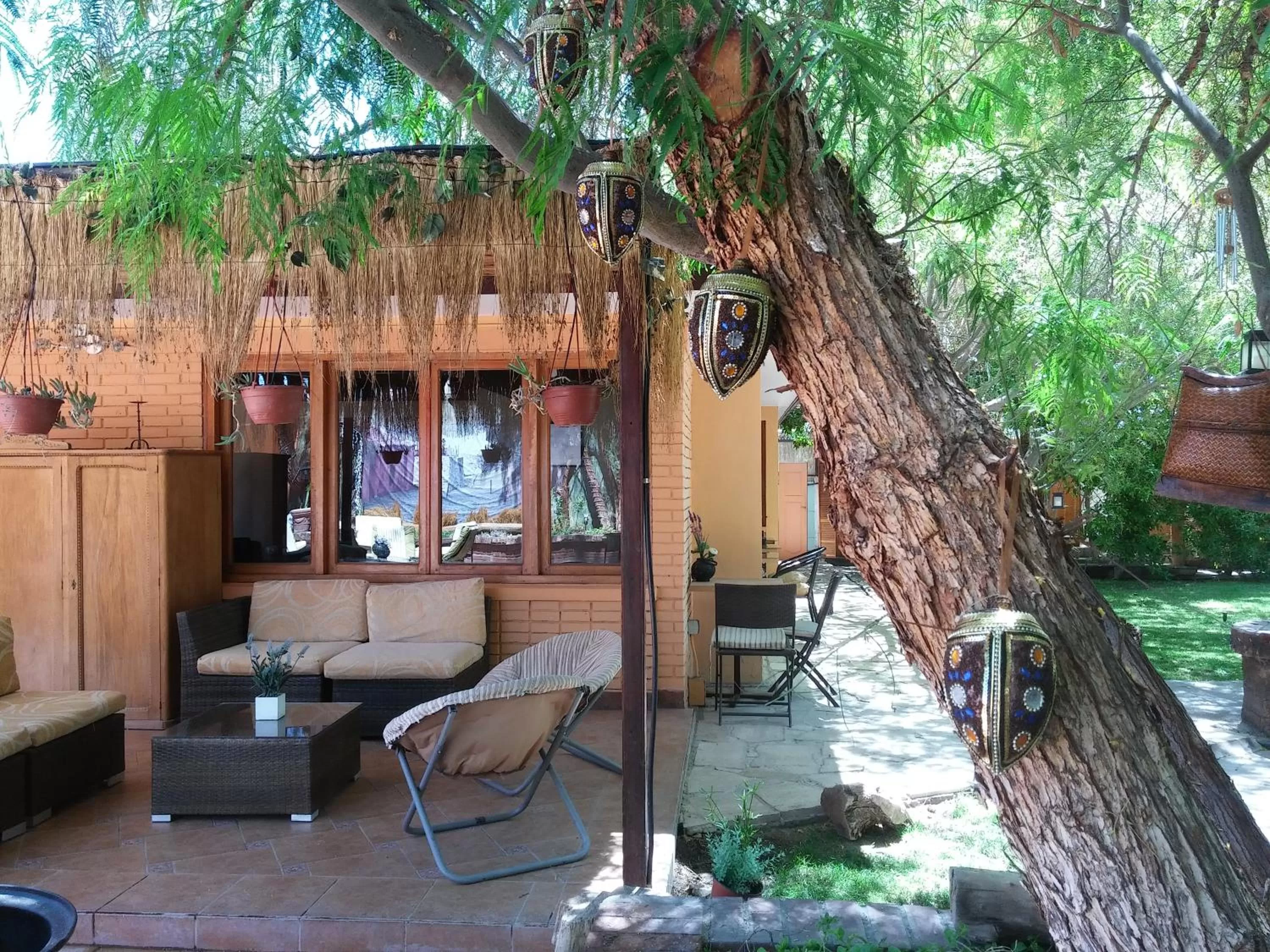 Garden, Lounge/Bar in Atankalama