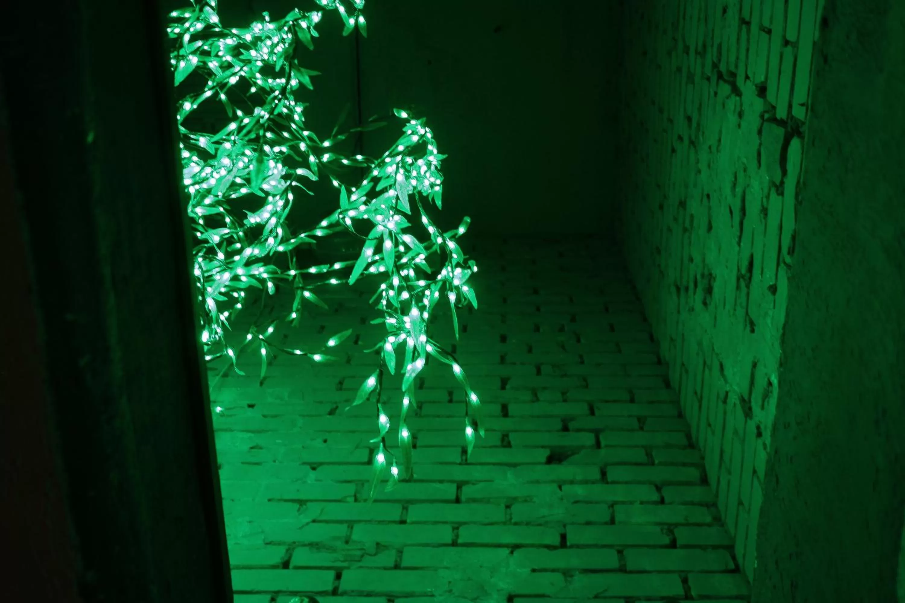 Photo of the whole room in MAMBA HOTEL - готель в укритті