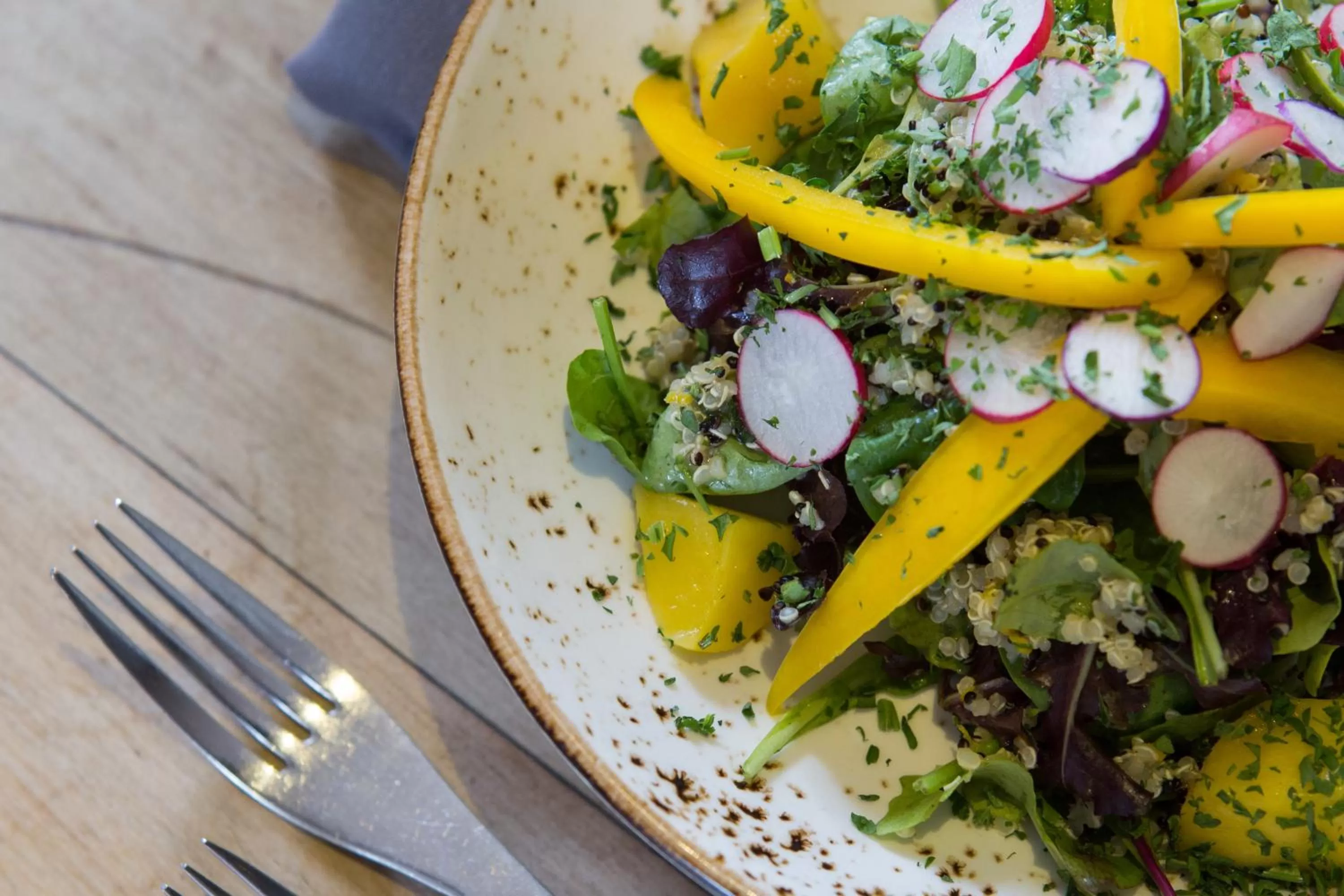 Food close-up, Food in Mount Edgcumbe