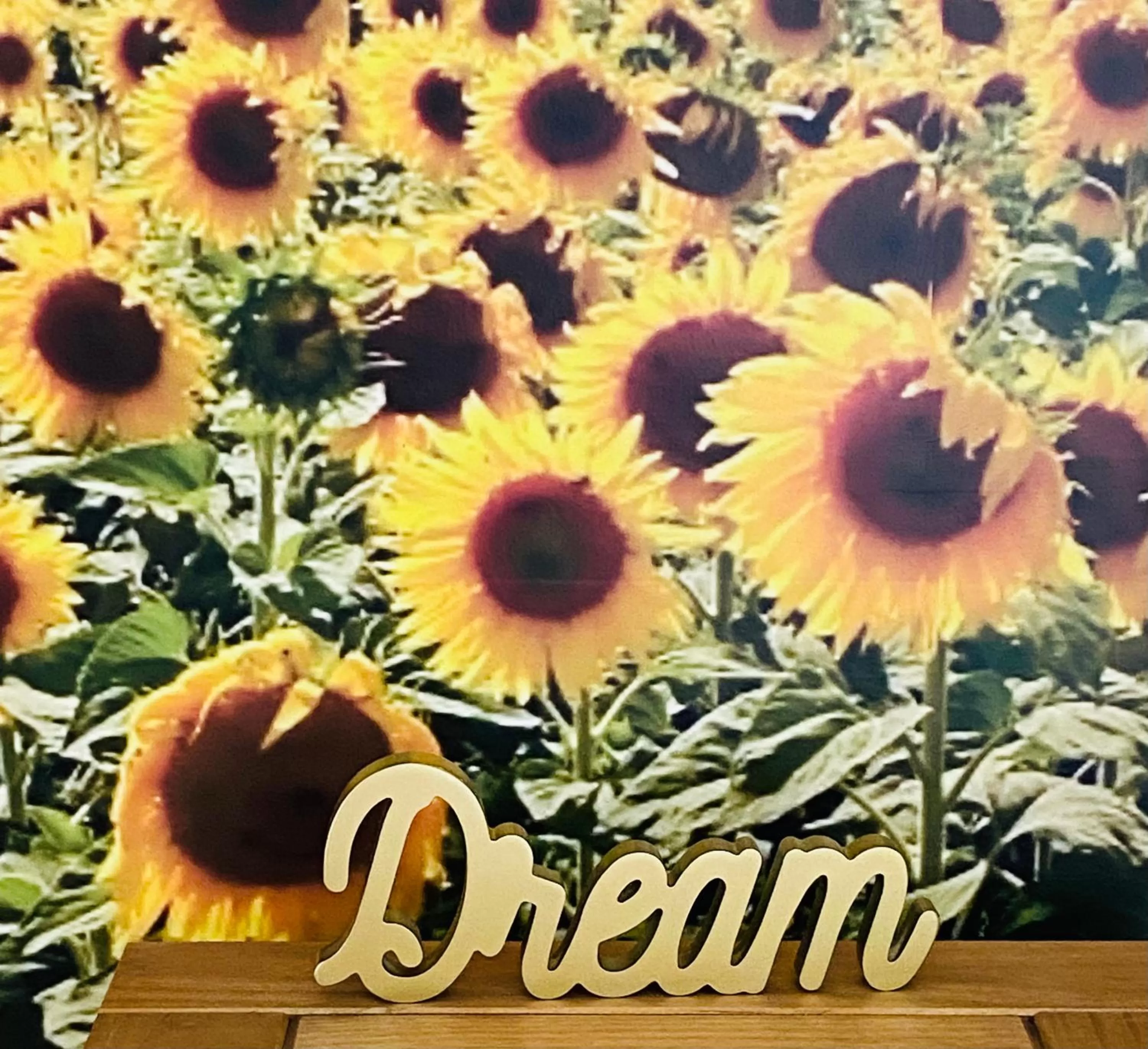 All Seasons Bed & Breakfast - Adults Only