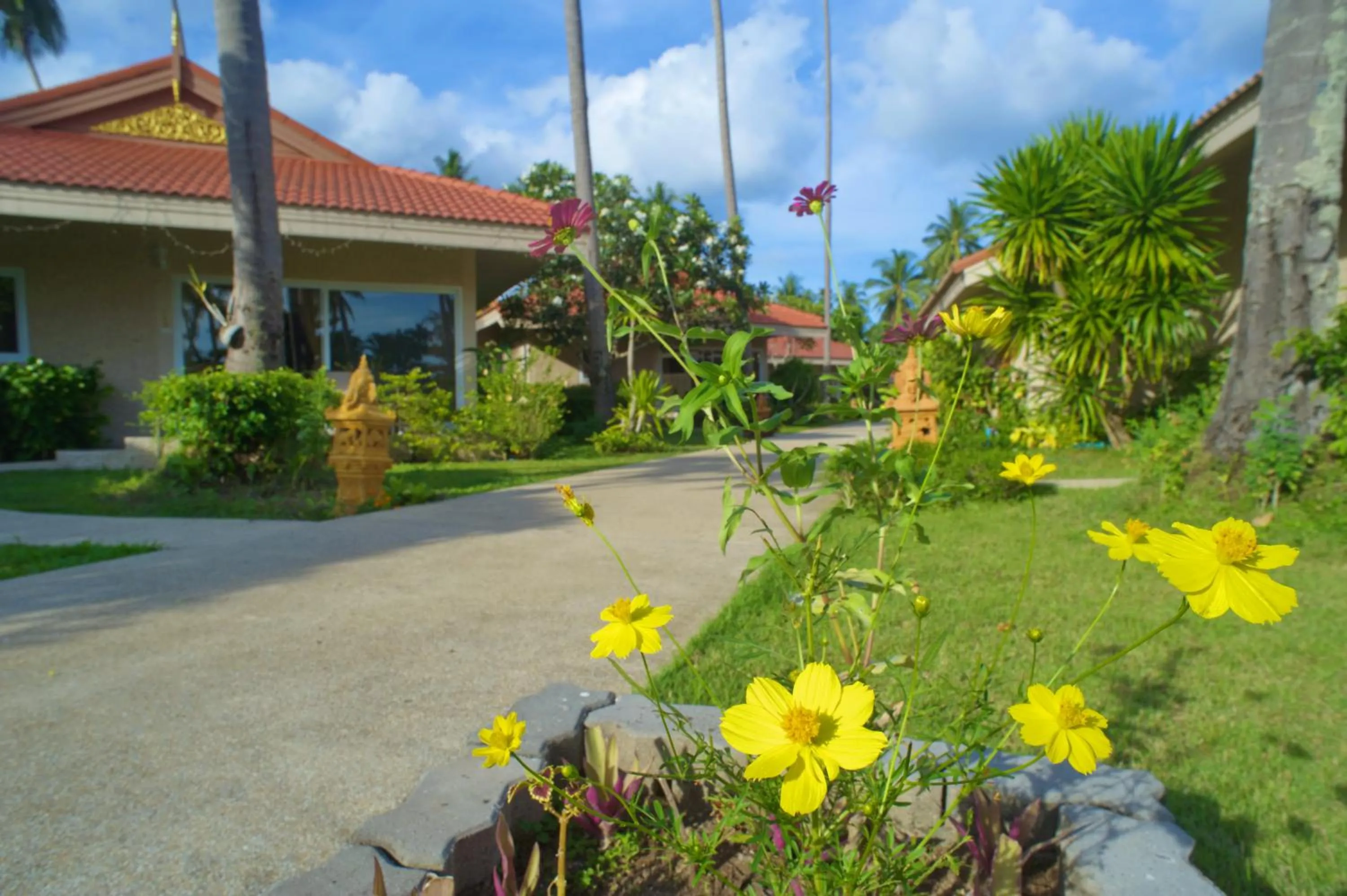 Garden in The Siam Residence Boutique Resort
