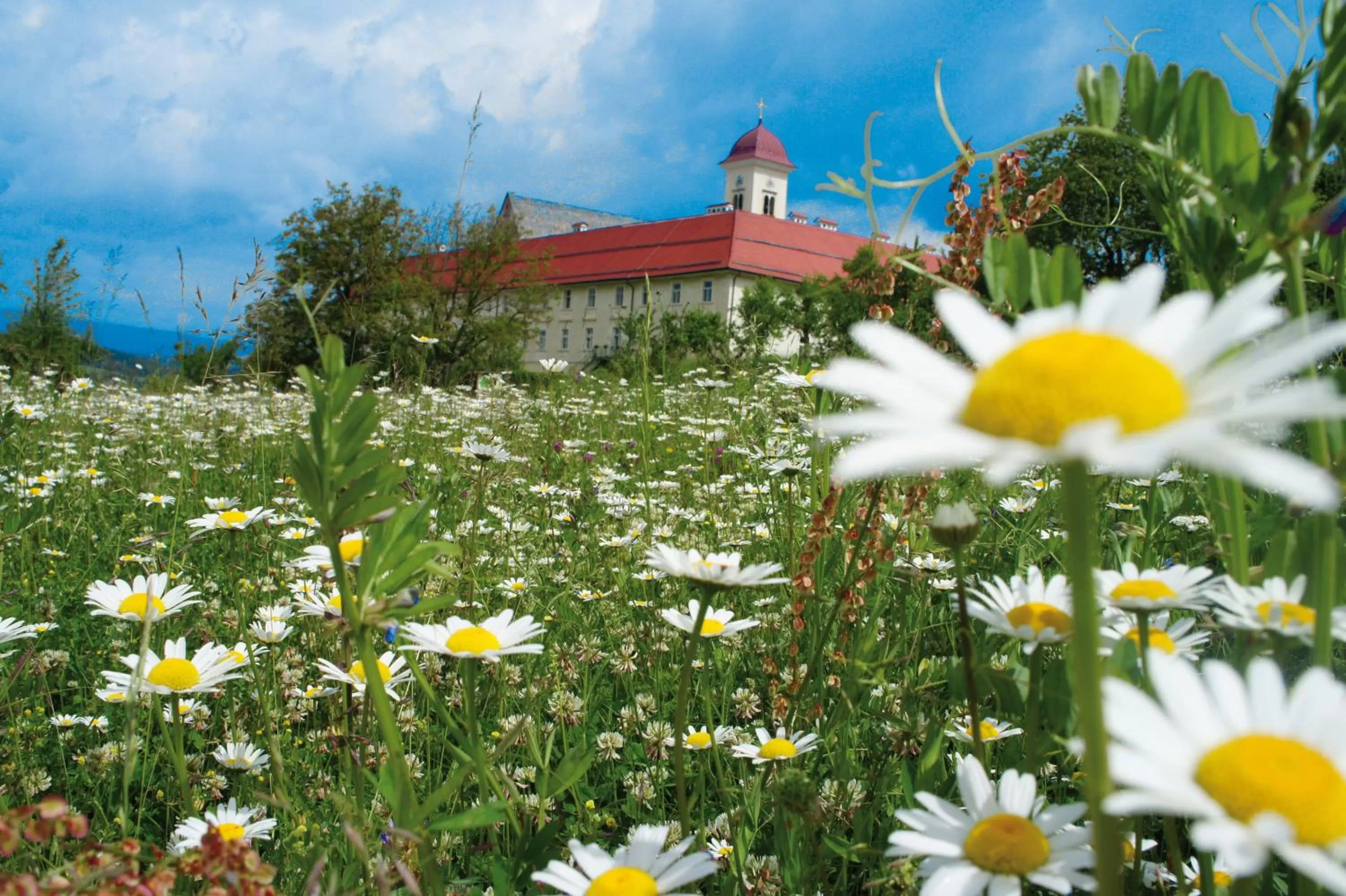 Garden in Stift St. Georgen am Längsee
