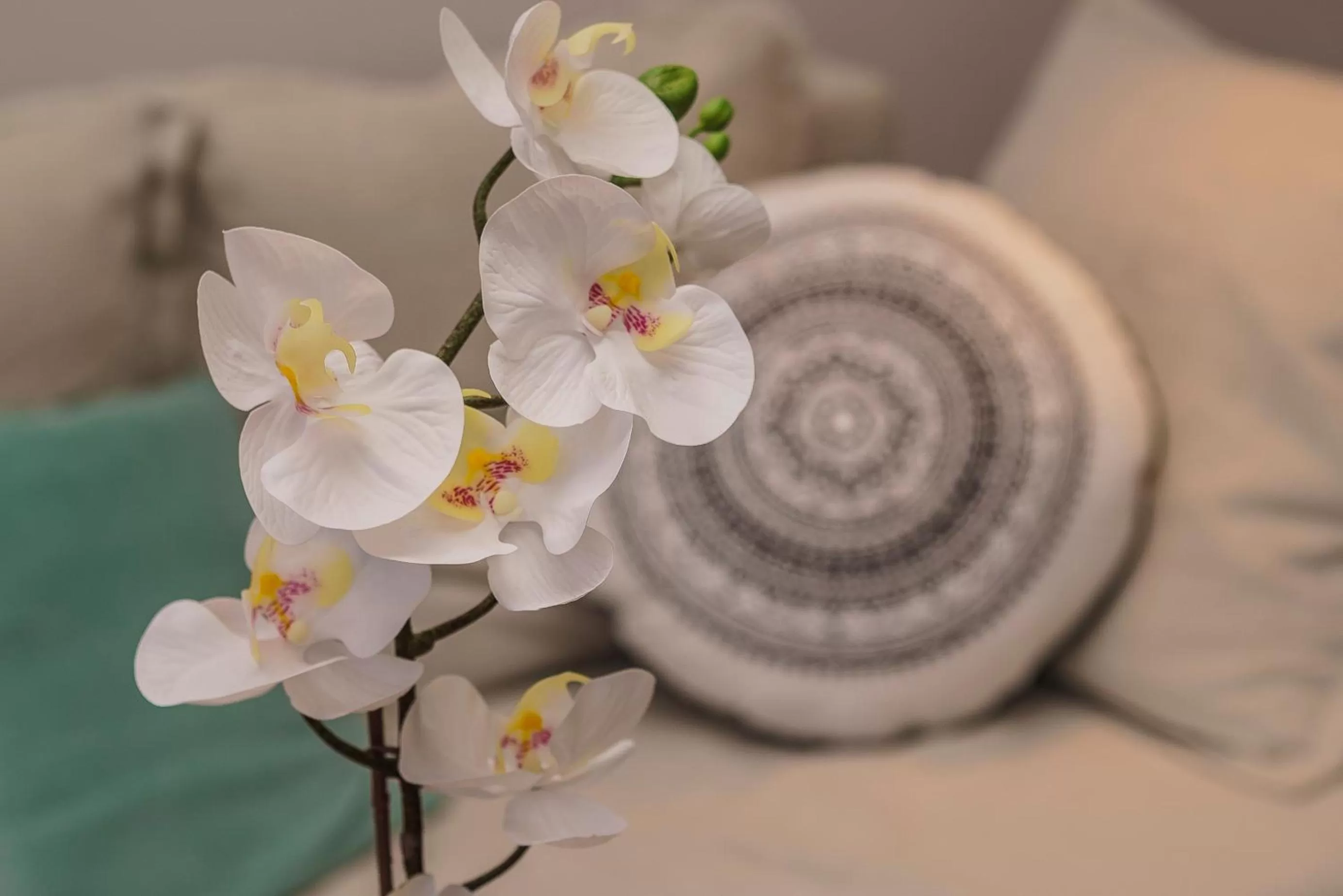 Decorative detail in Doma Zagreb Aparthotel