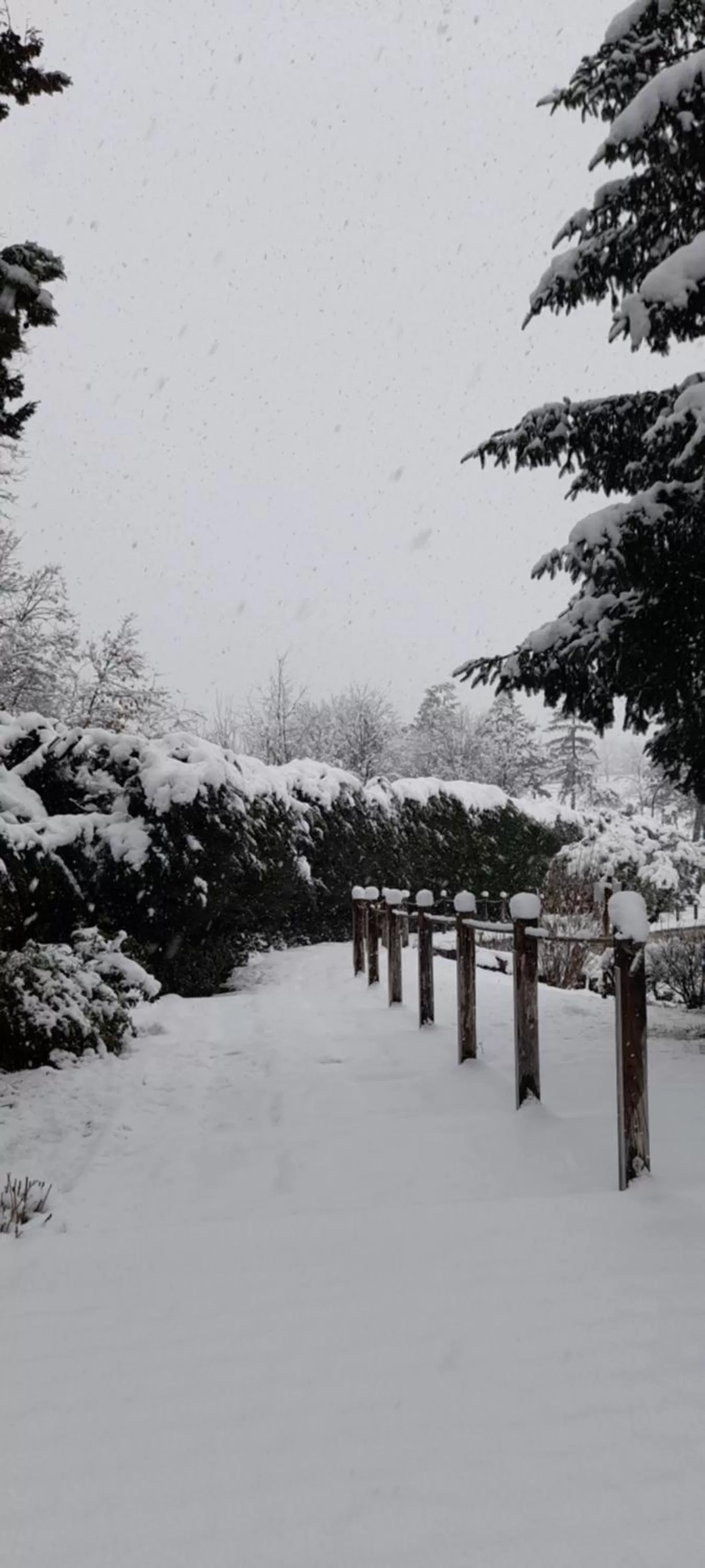 Masseria boutique b&b