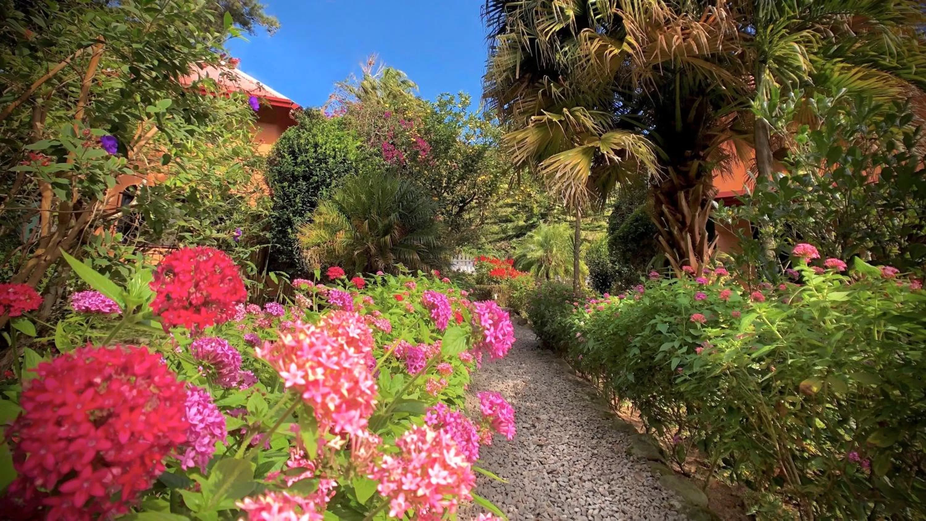 Day in Boquete Garden Inn