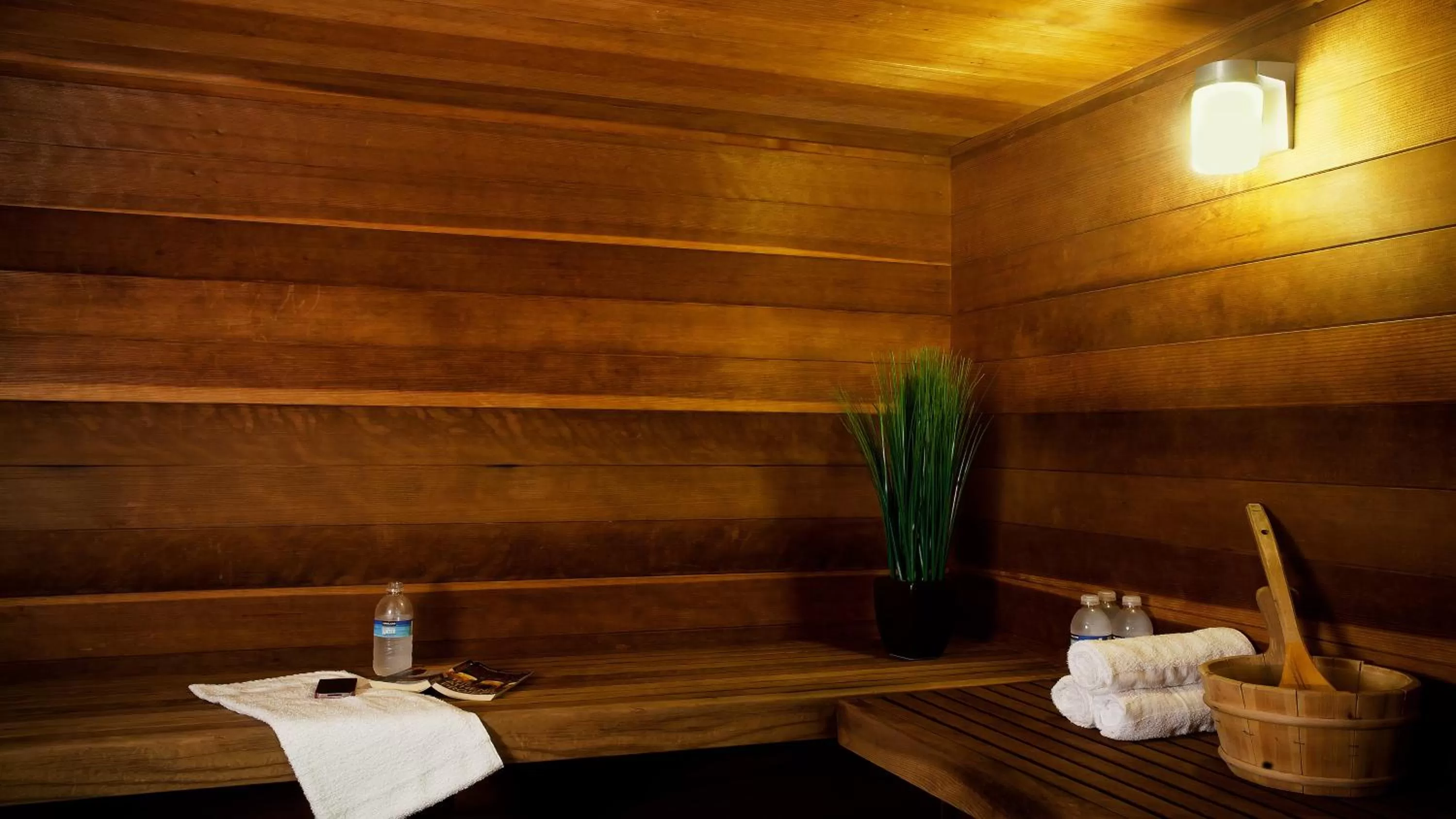 Fitness centre/facilities in Holiday Inn Express & Suites Albany by IHG