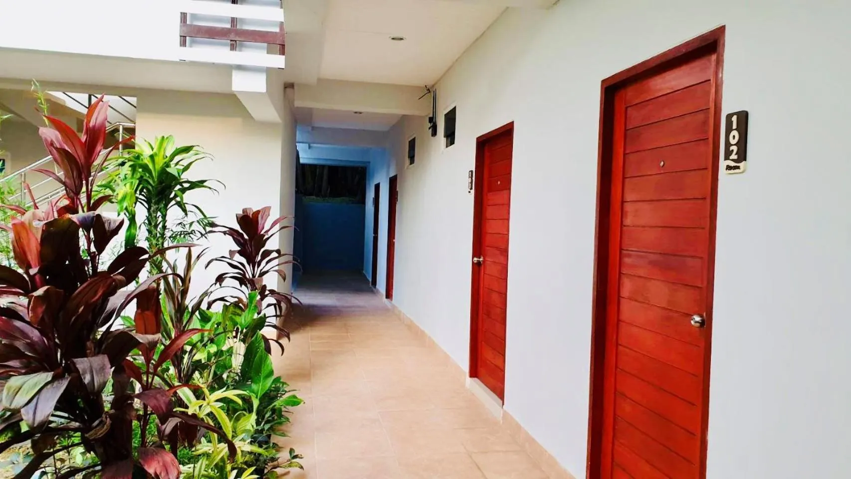 Garden in Siray House