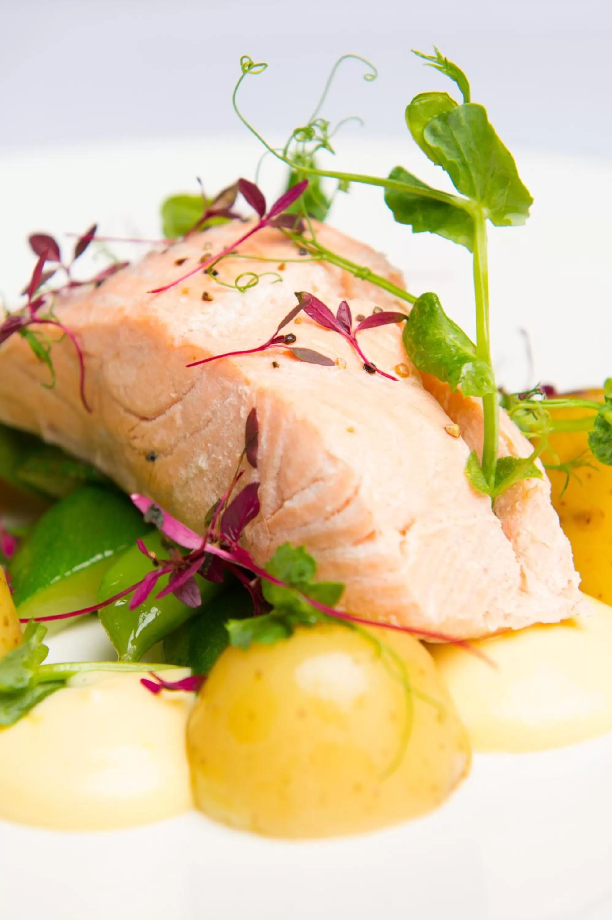 Food in Prince Rupert Hotel