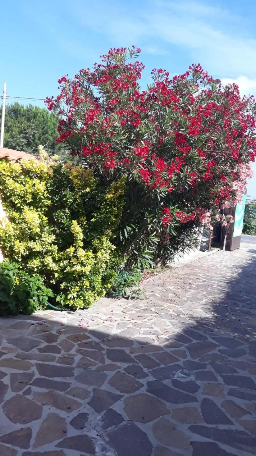 Spring in Sabrina Airport