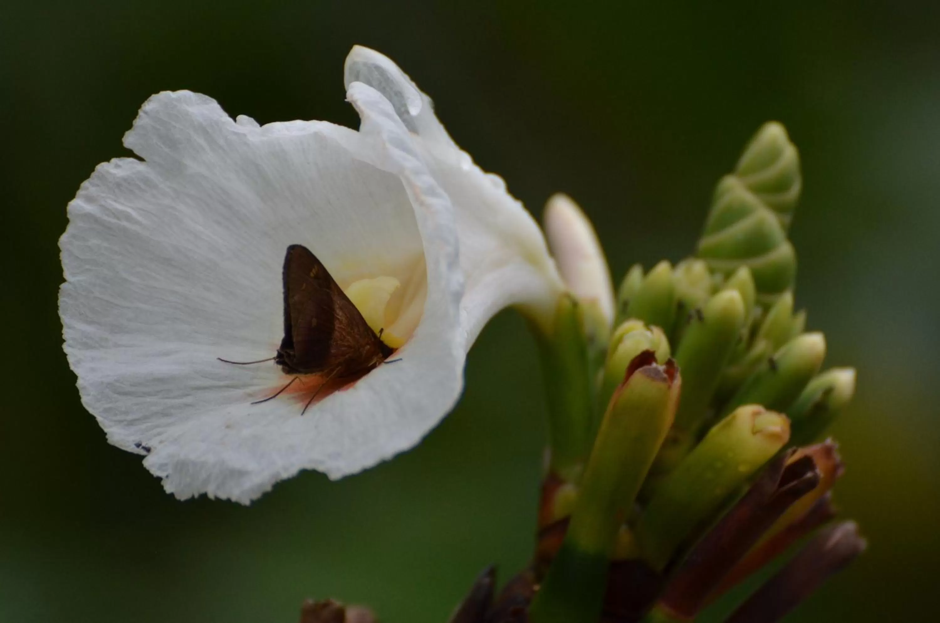Property building, Other Animals in Posada Turística Rocas De Cabo Marzo