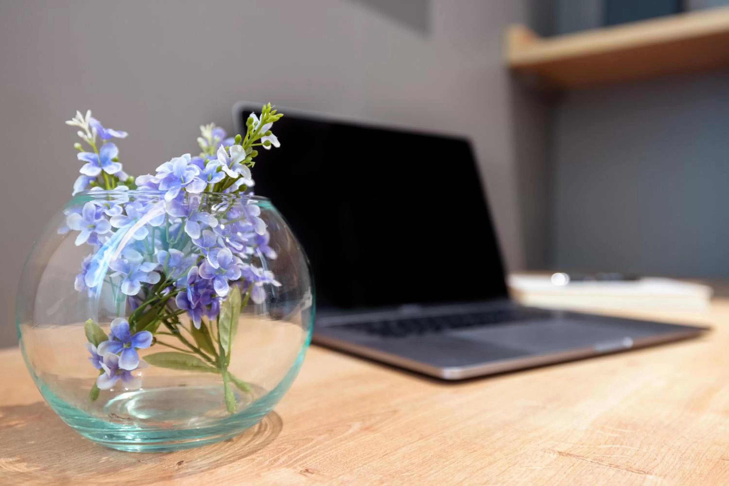 Photo of the whole room in Virgen de los Reyes
