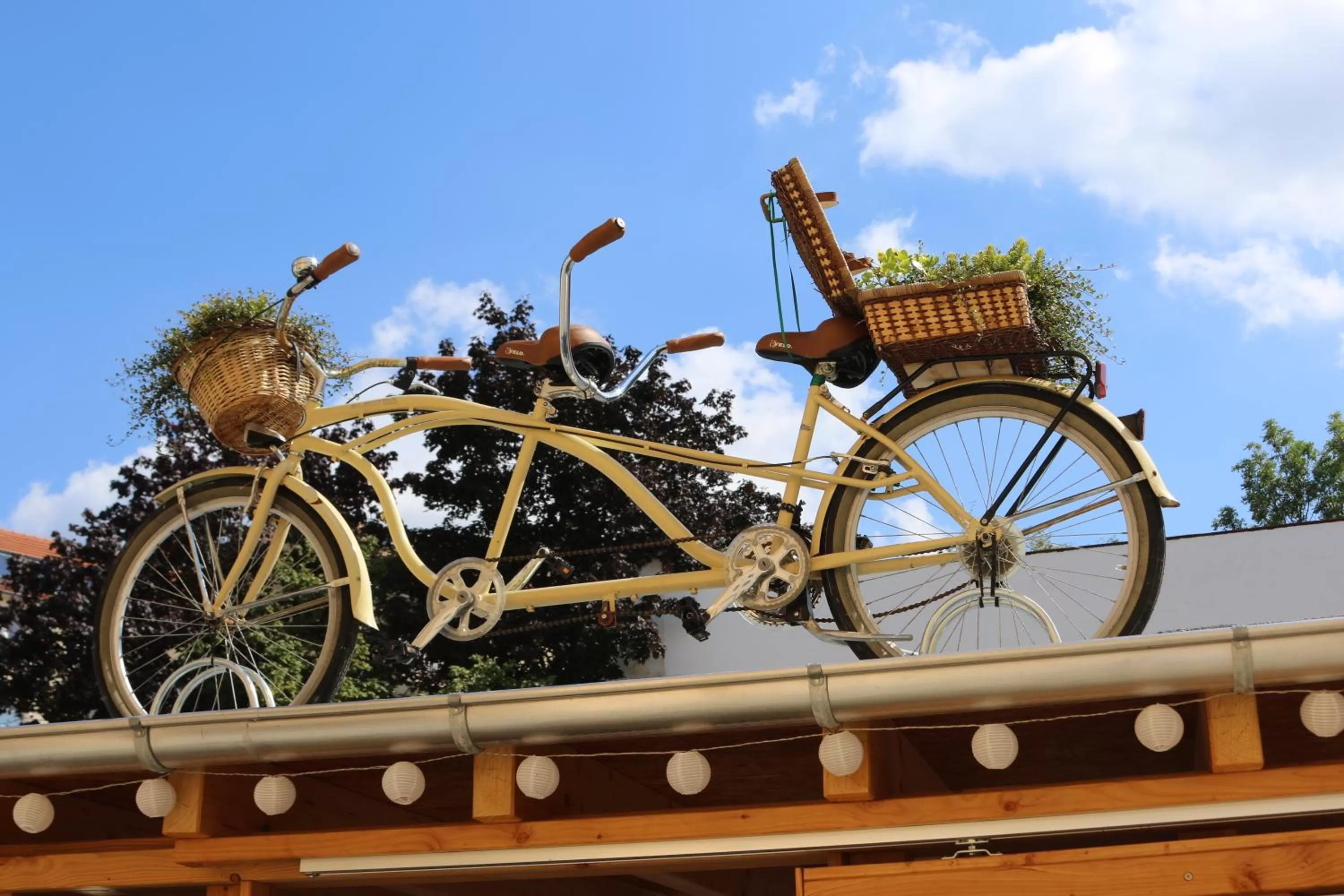 Cycling in Hotel Via Regia - VIAs-Hotels