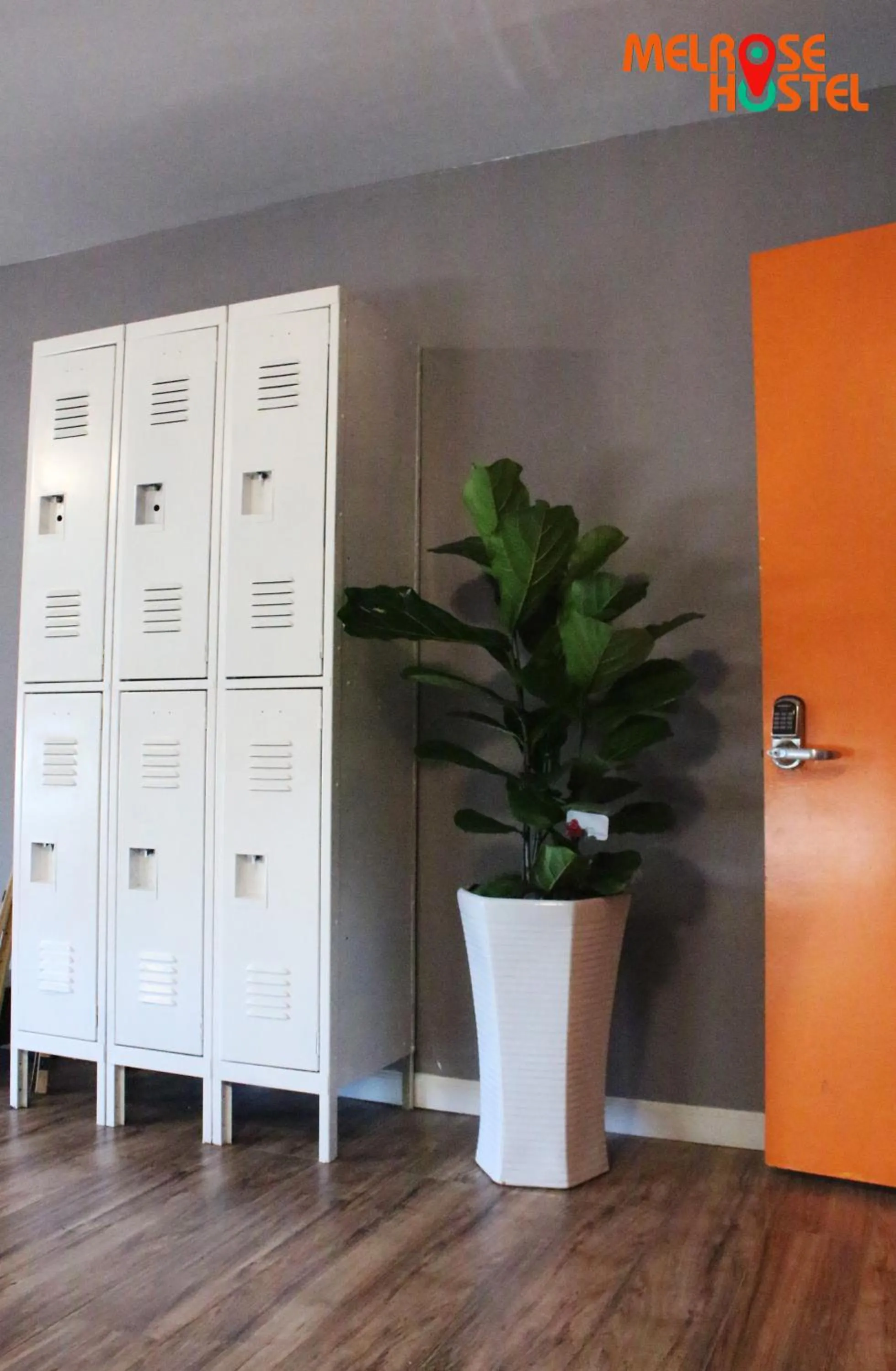 Bedroom in Melrose Hostel