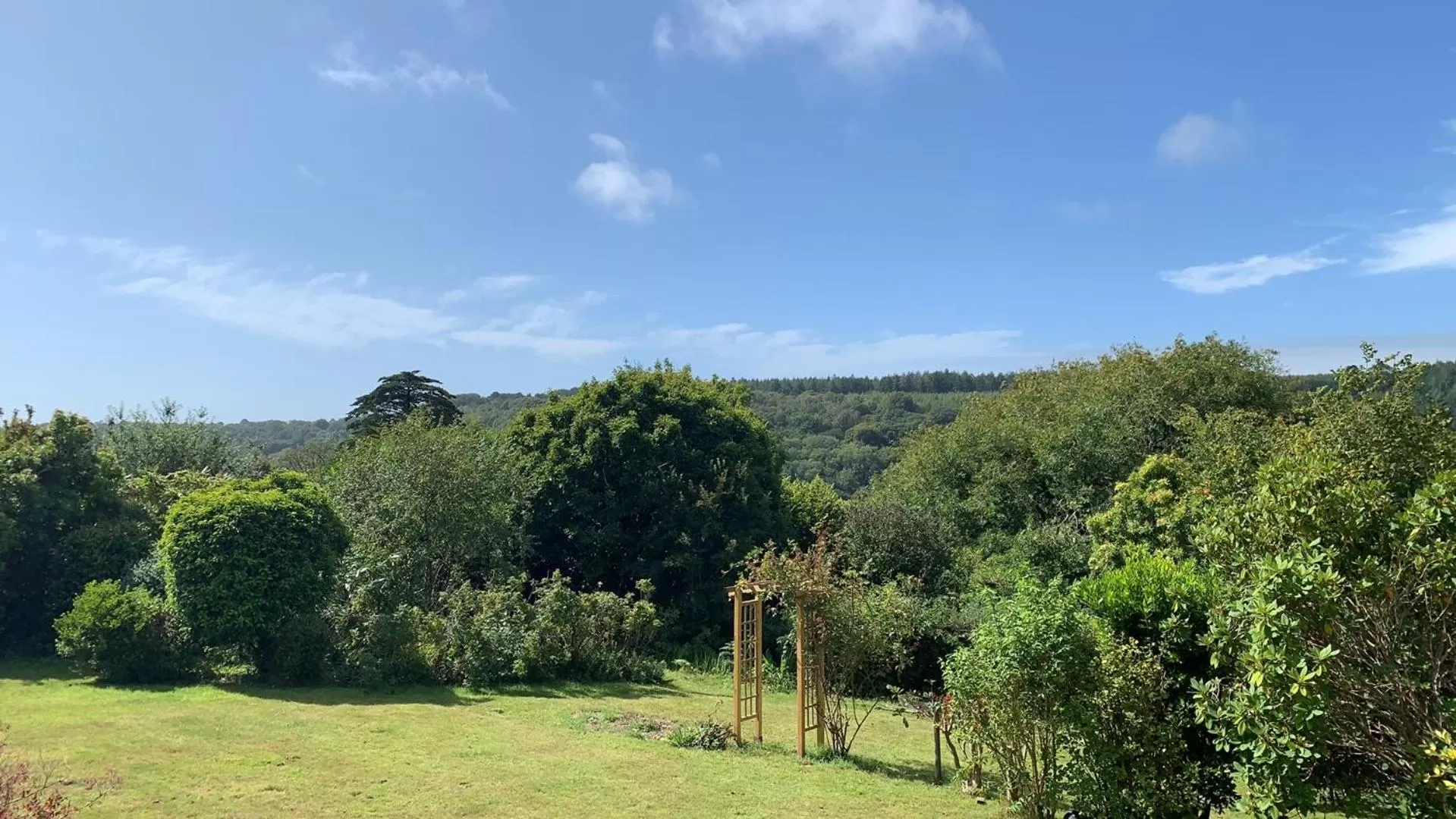 Natural landscape in Nettle Bank